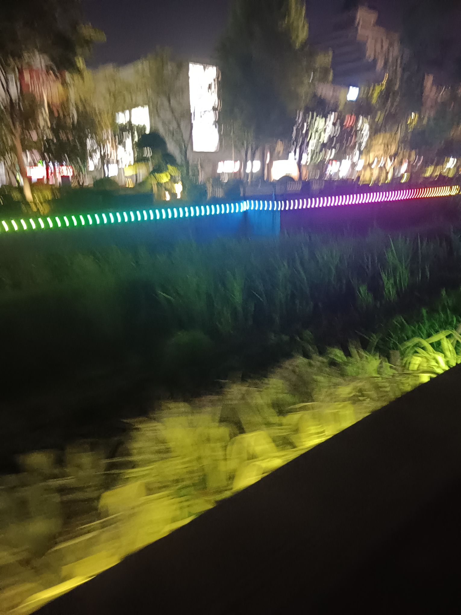 猪龙河生态公园旅行图片 2
