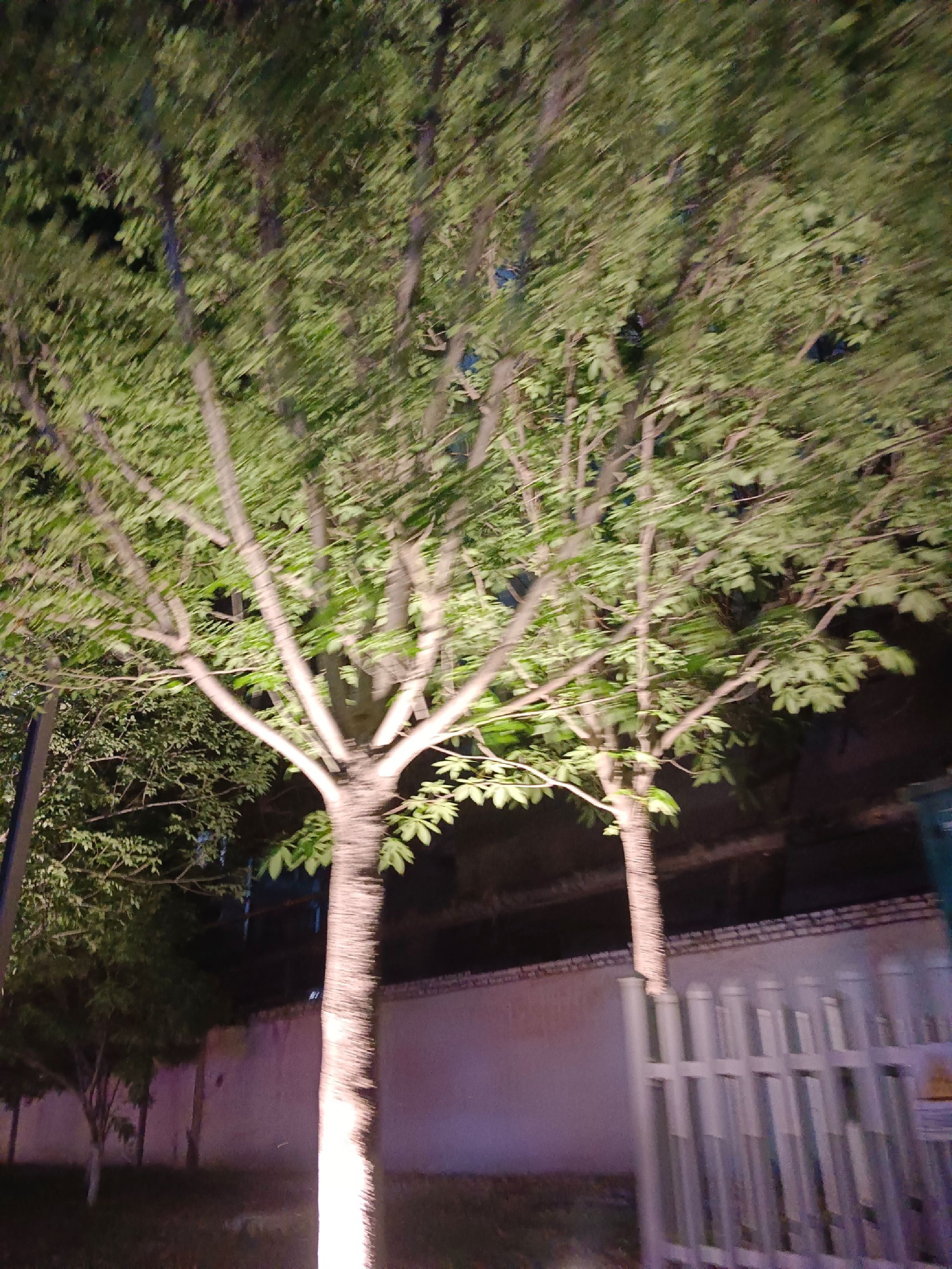 猪龙河生态公园旅行图片 1