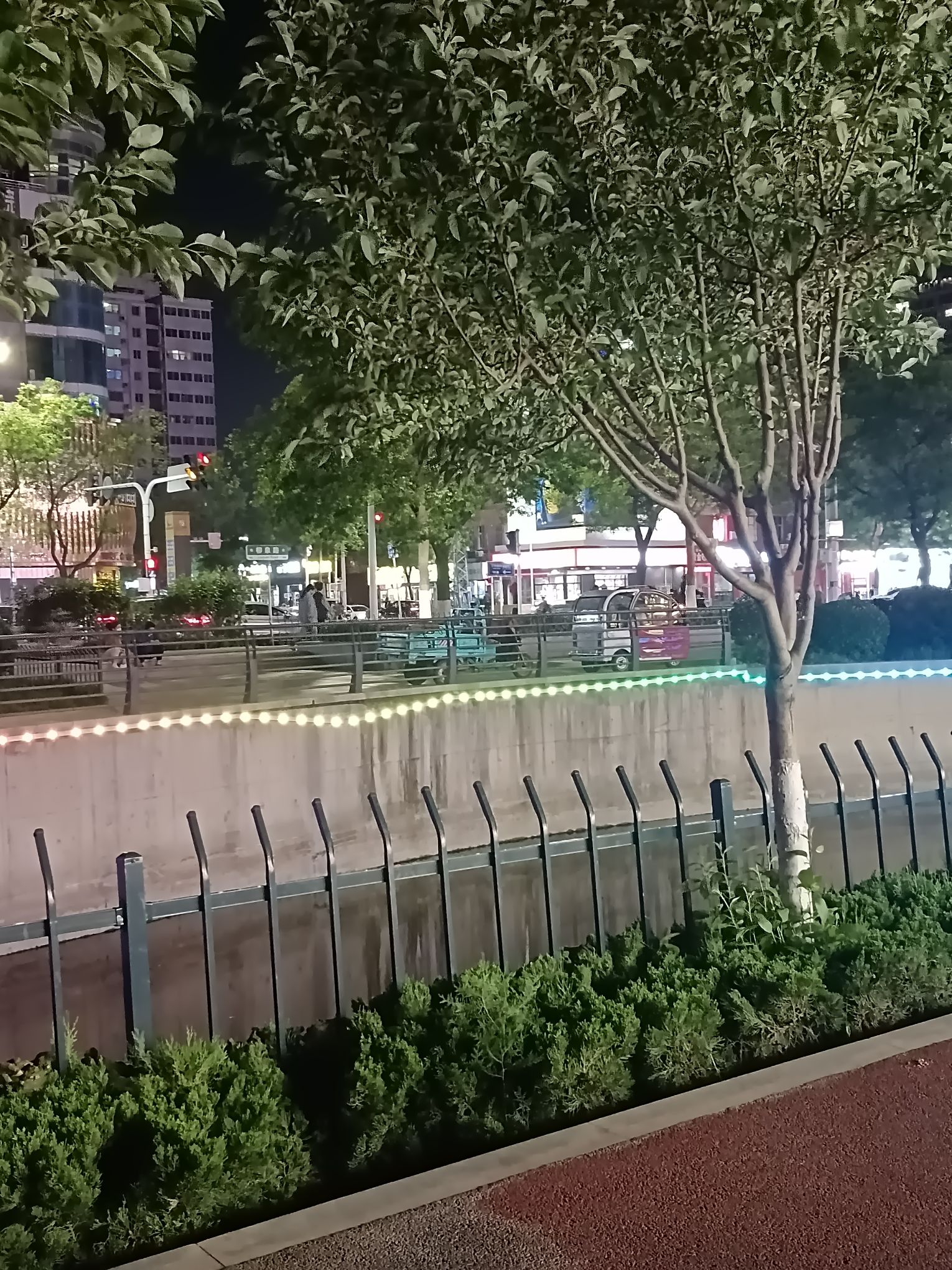 猪龙河生态公园旅行图片 3