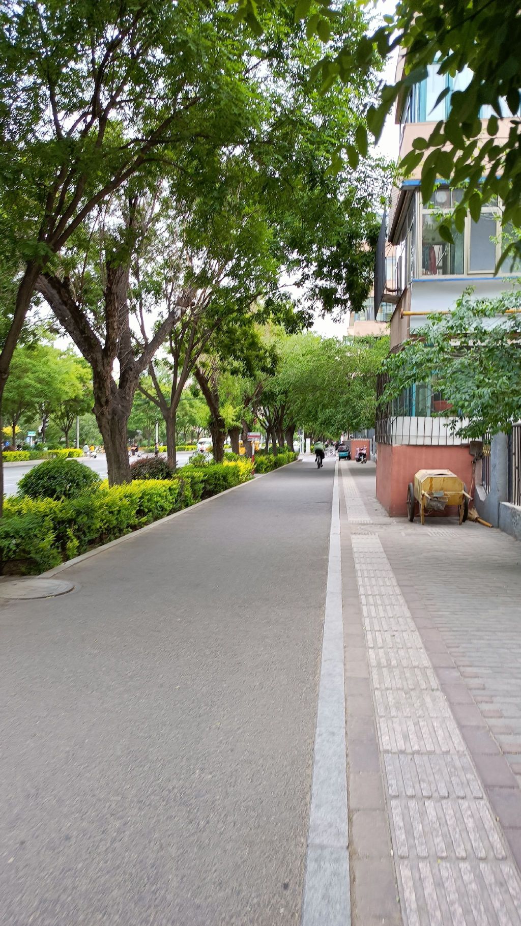 一机集团体育公园旅行图片 3