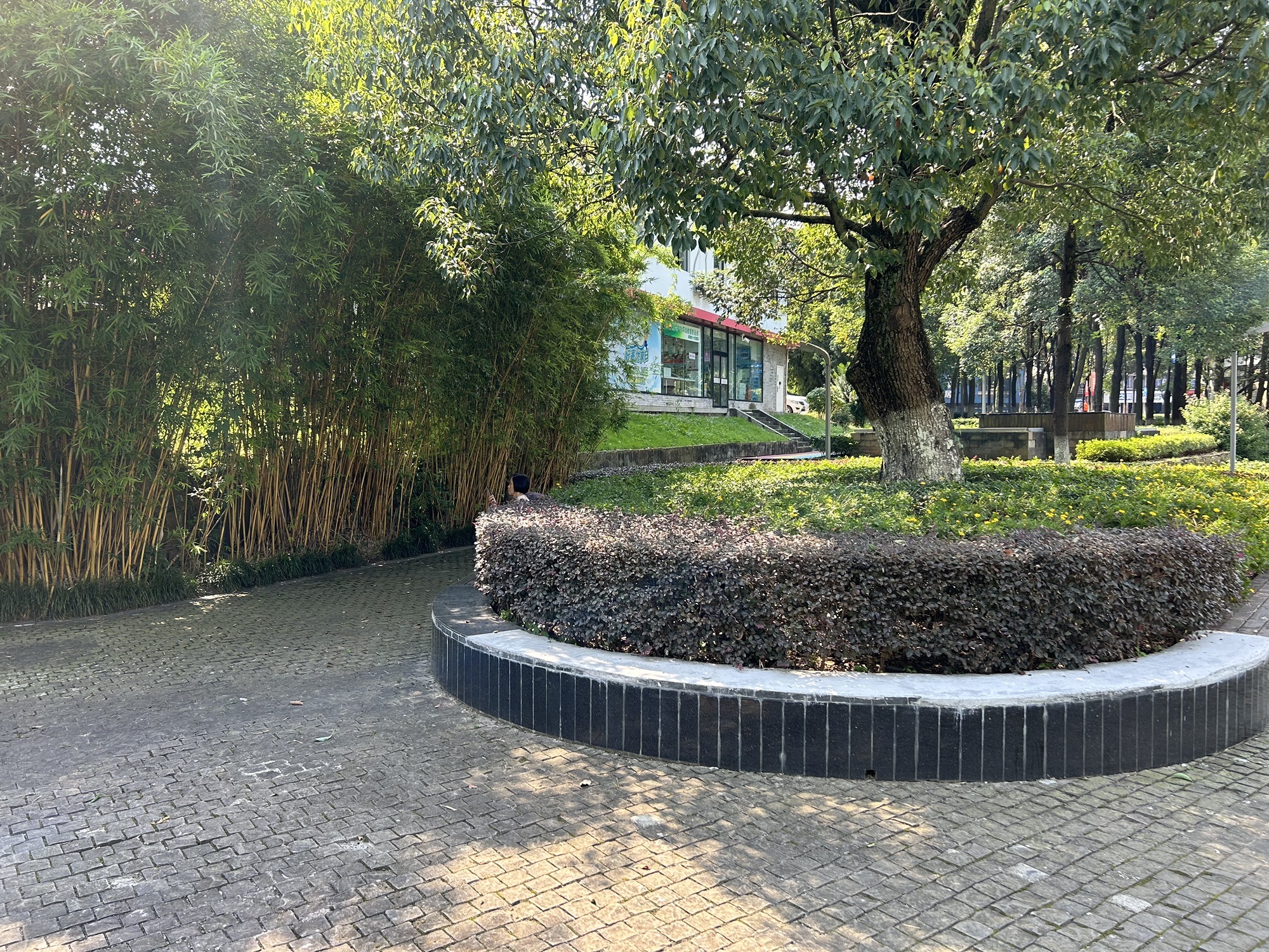 北纬三十度公园旅行图片 3