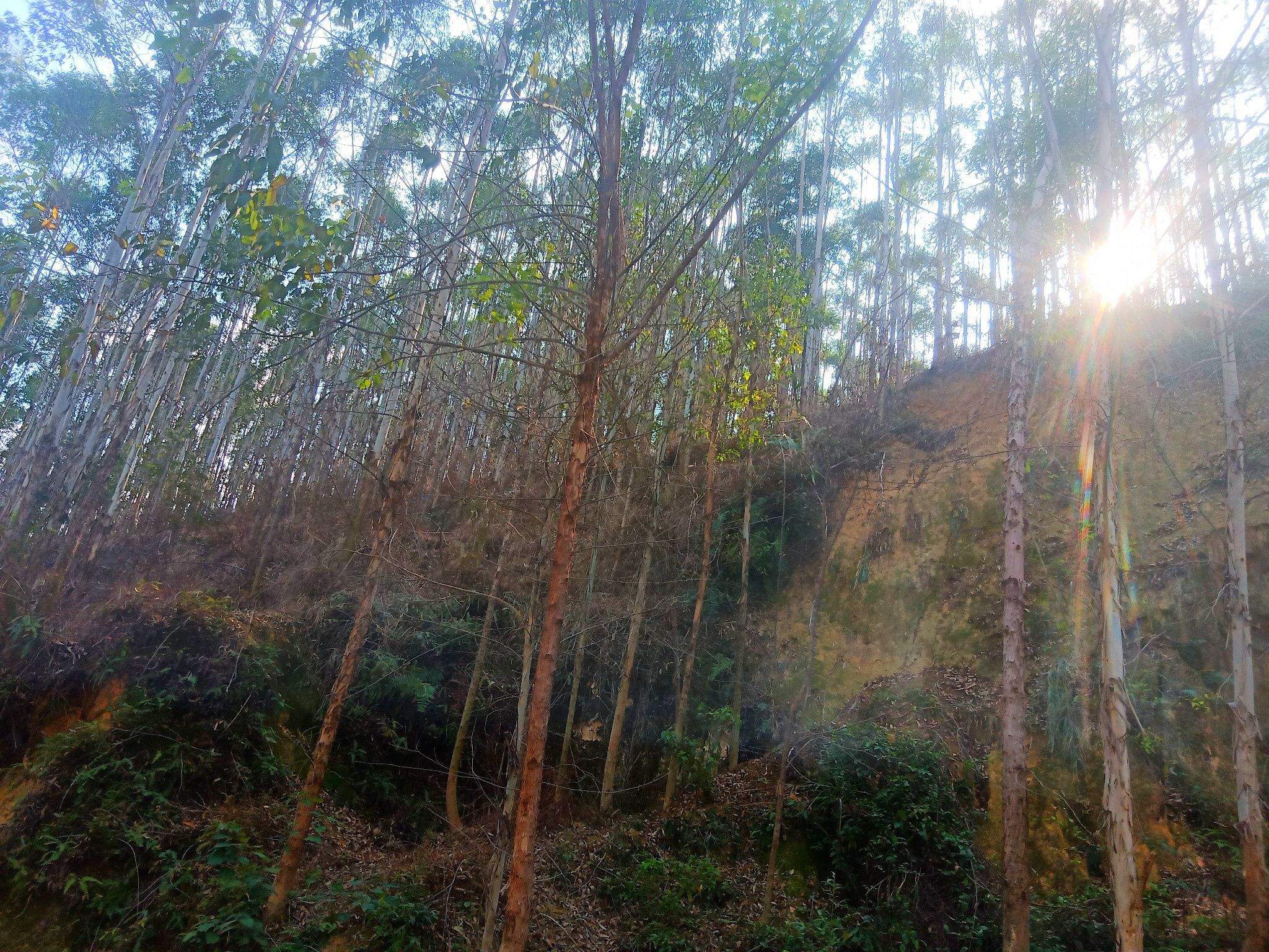 天堂山大峡谷旅行图片 1