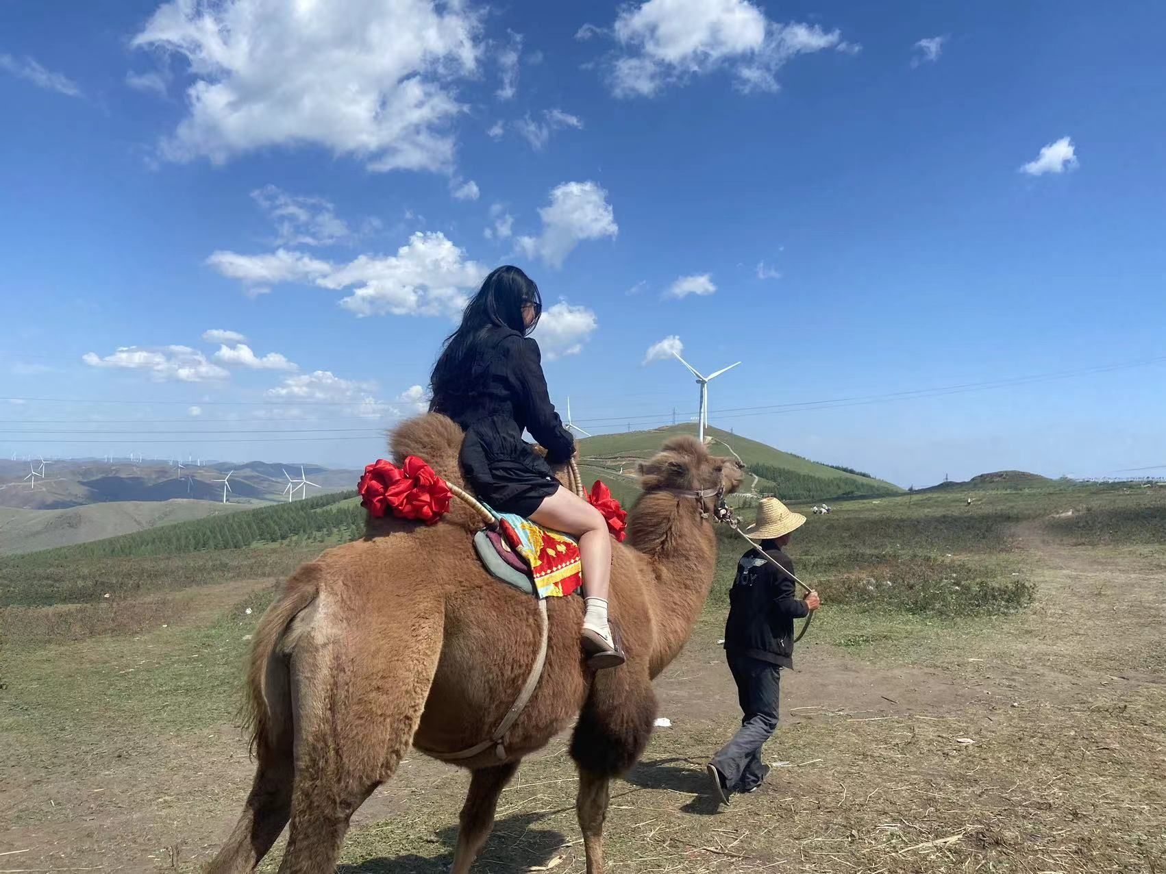 中国天路雪乡旅行图片 2