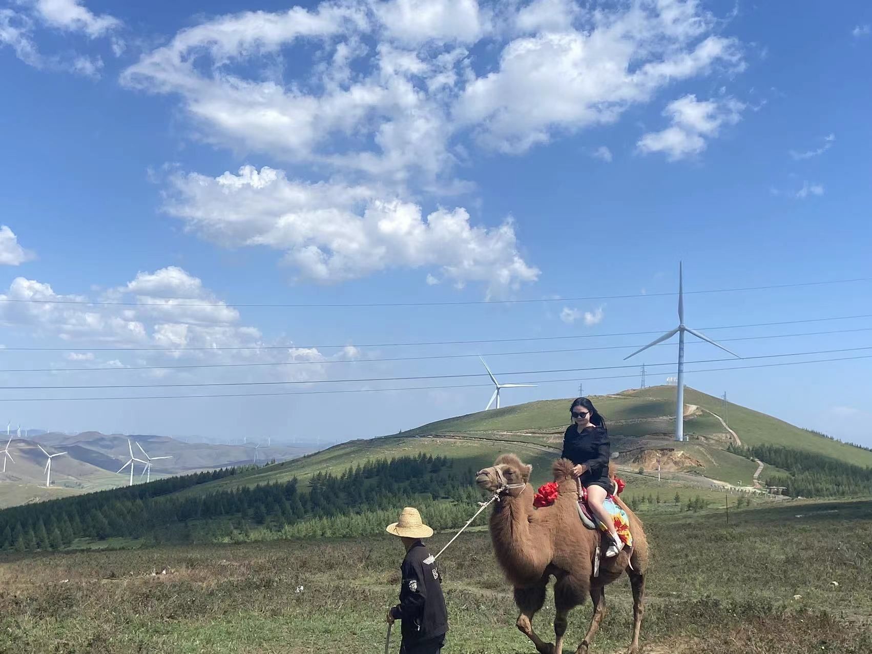 中国天路雪乡旅行图片 3