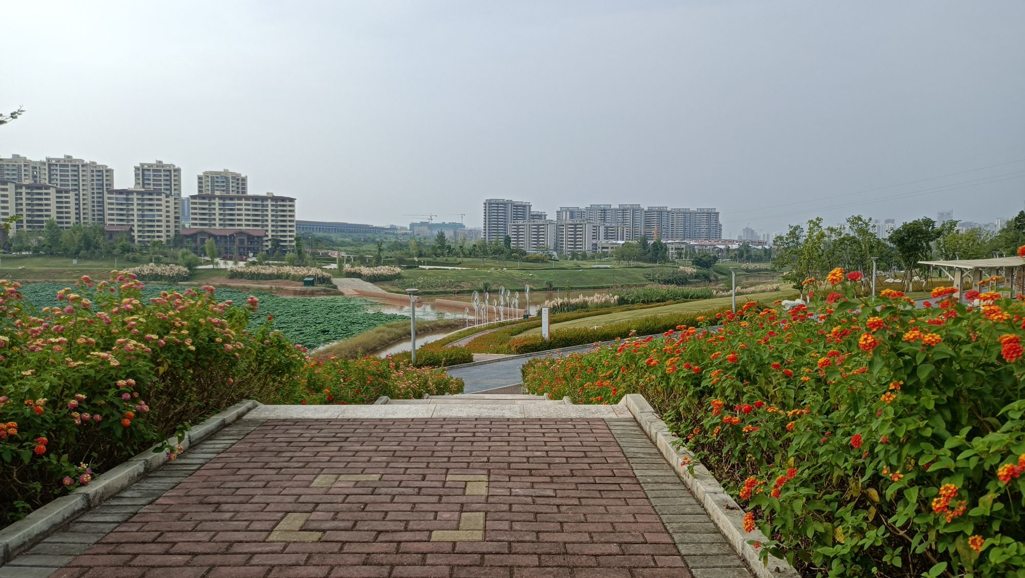 柴桑河湿地公园旅行图片 1