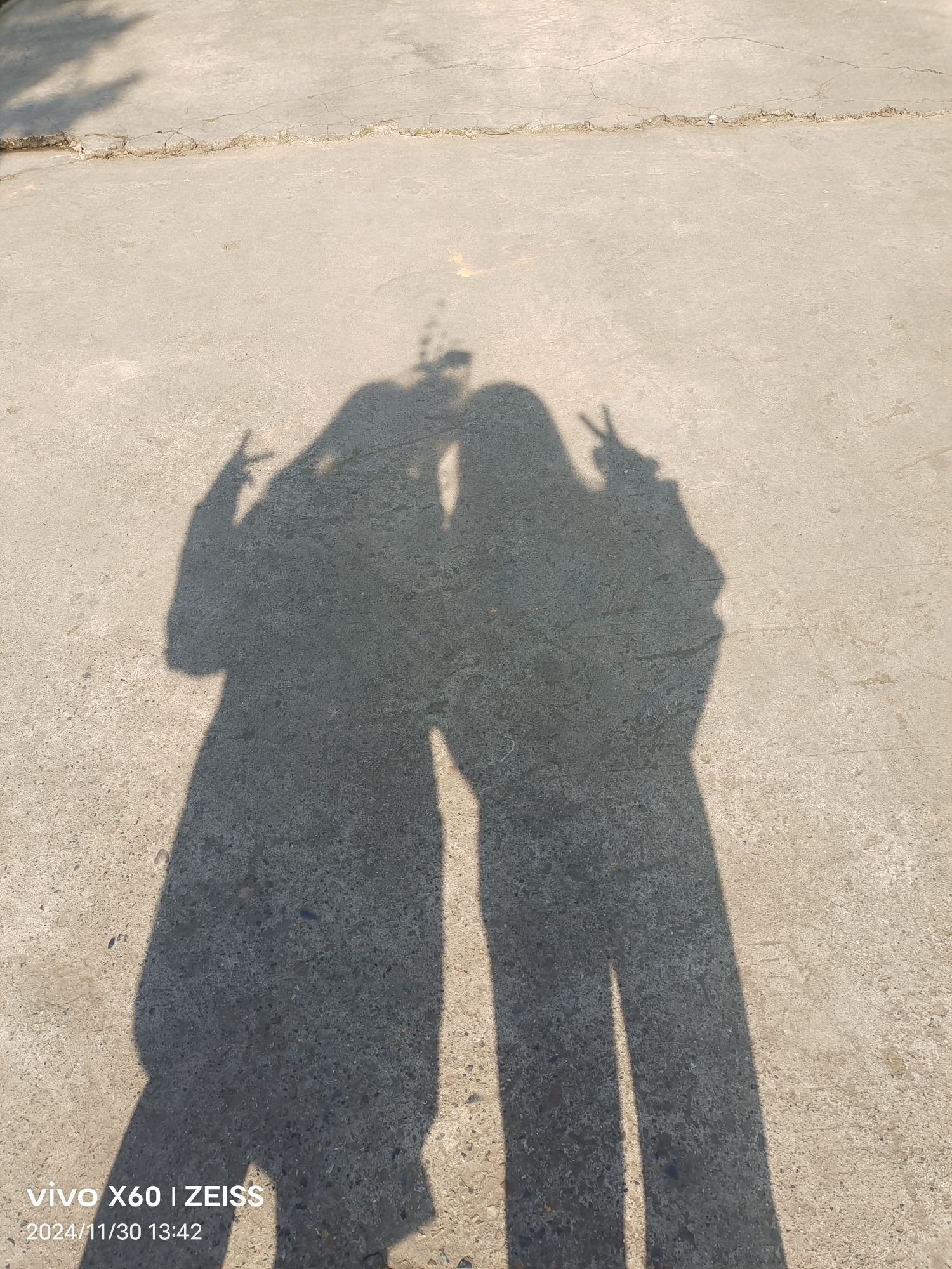 柴桑河湿地公园旅行图片 2