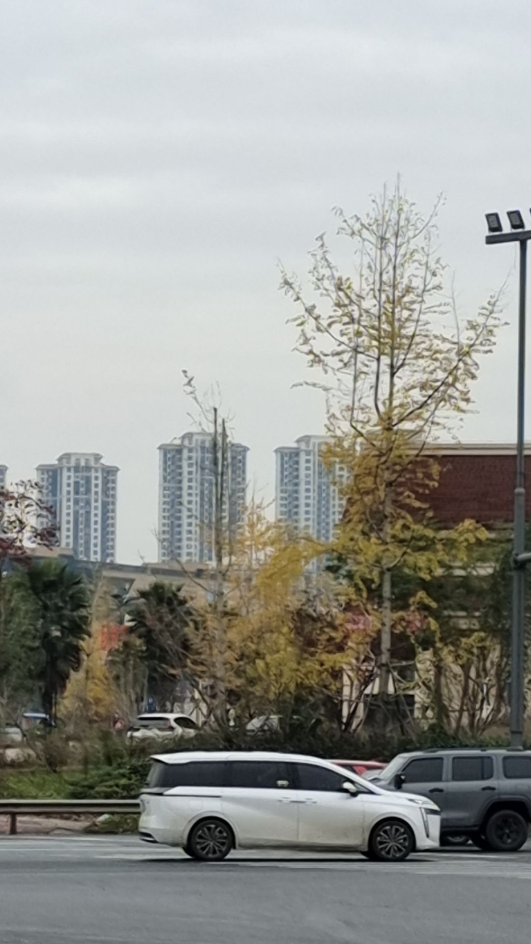 柴桑河湿地公园旅行图片 1