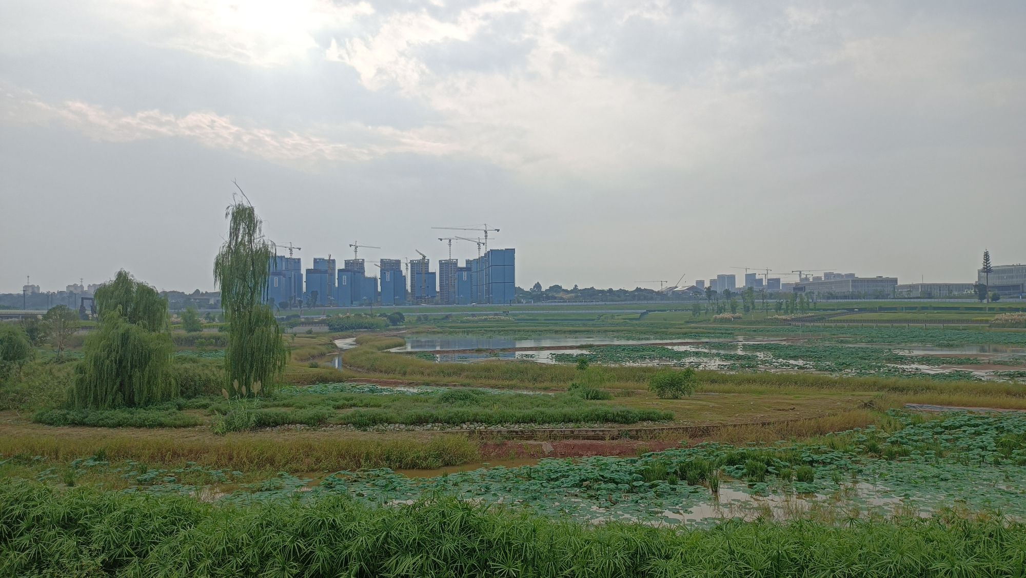 柴桑河湿地公园旅行图片 2