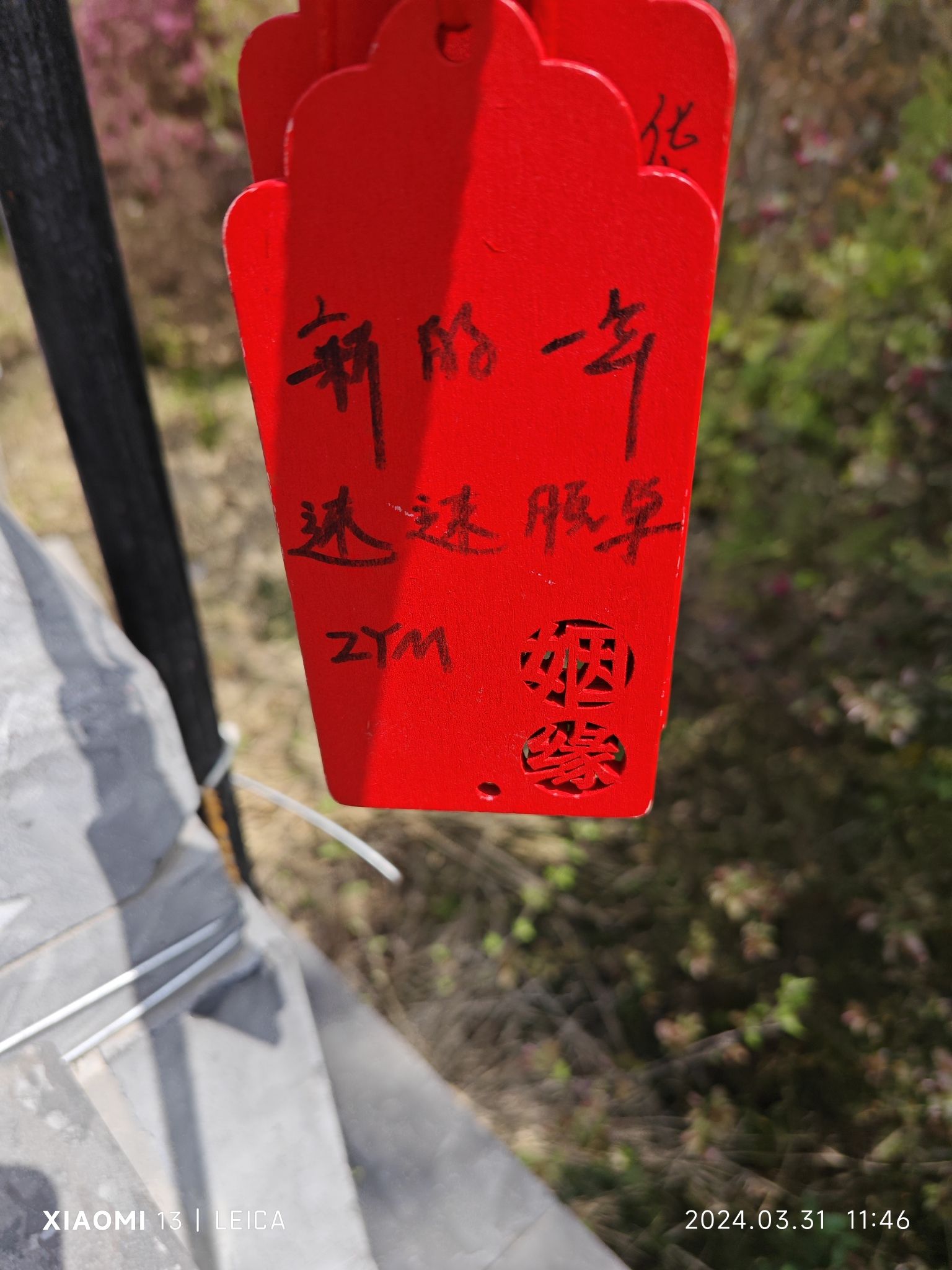 从政坊游园旅行图片 2