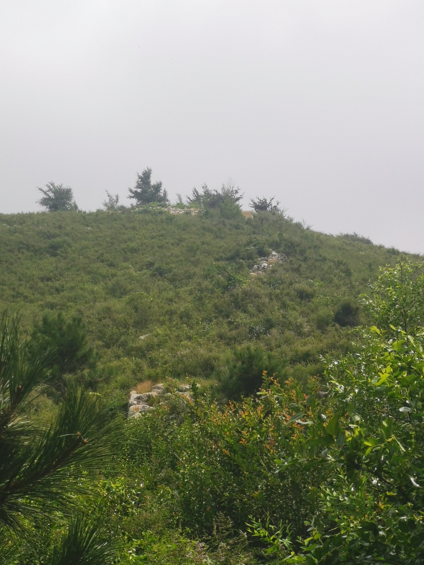 明代石长城遗址旅行图片 1