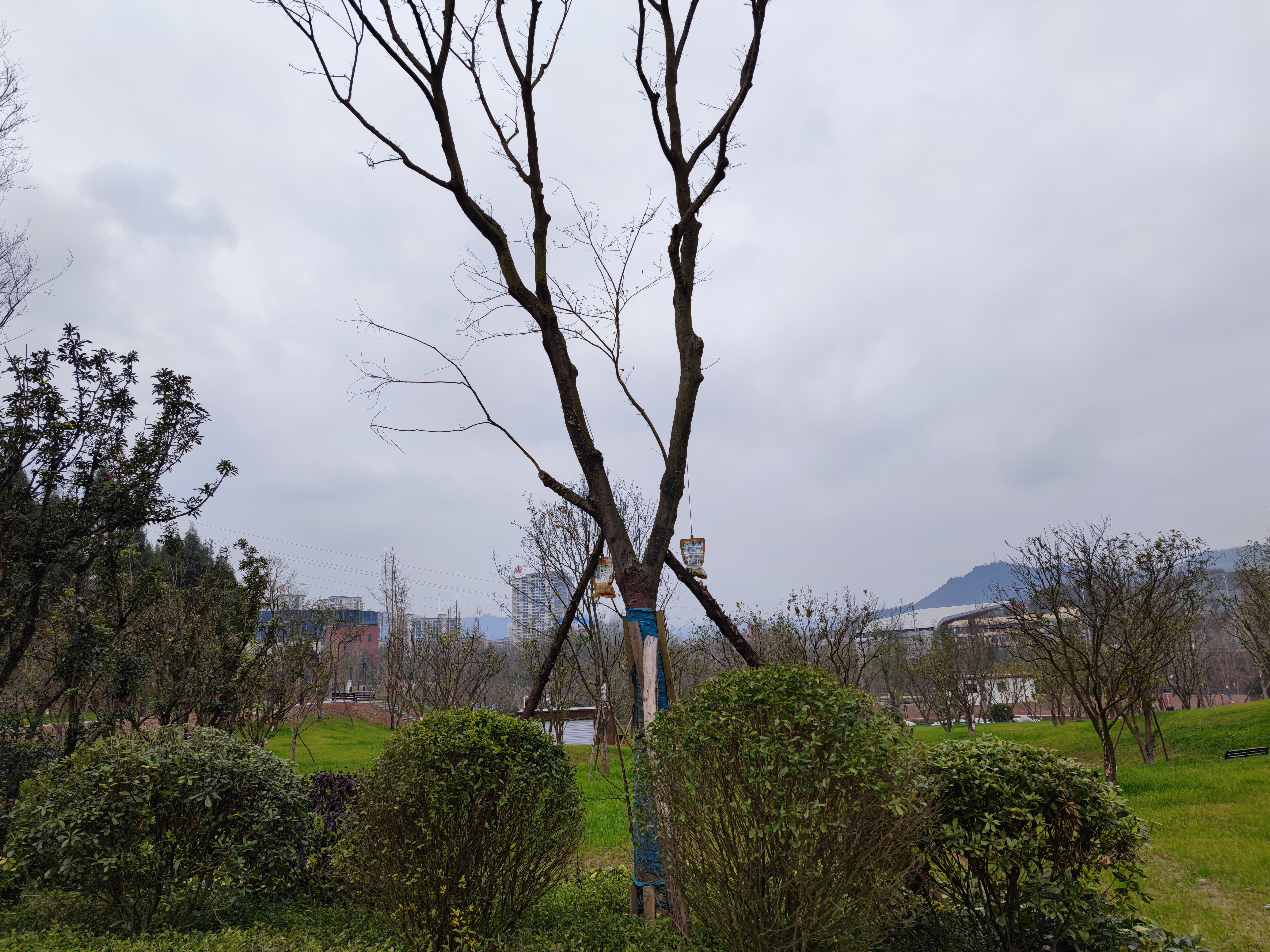 阳光公园旅行图片 2
