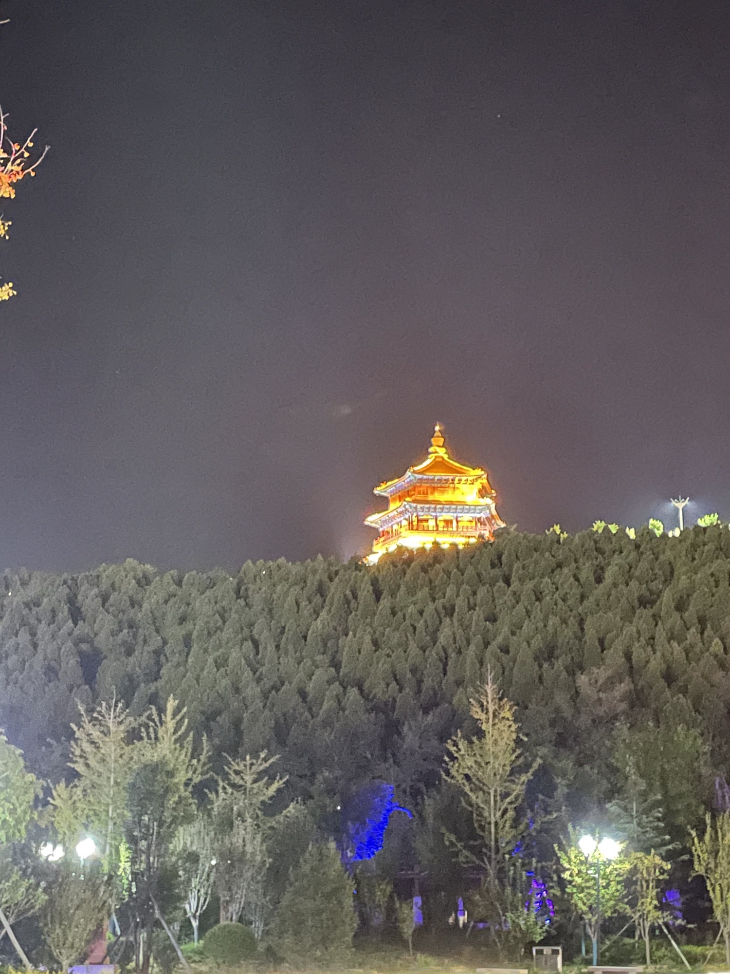 青年山公园旅行图片 1