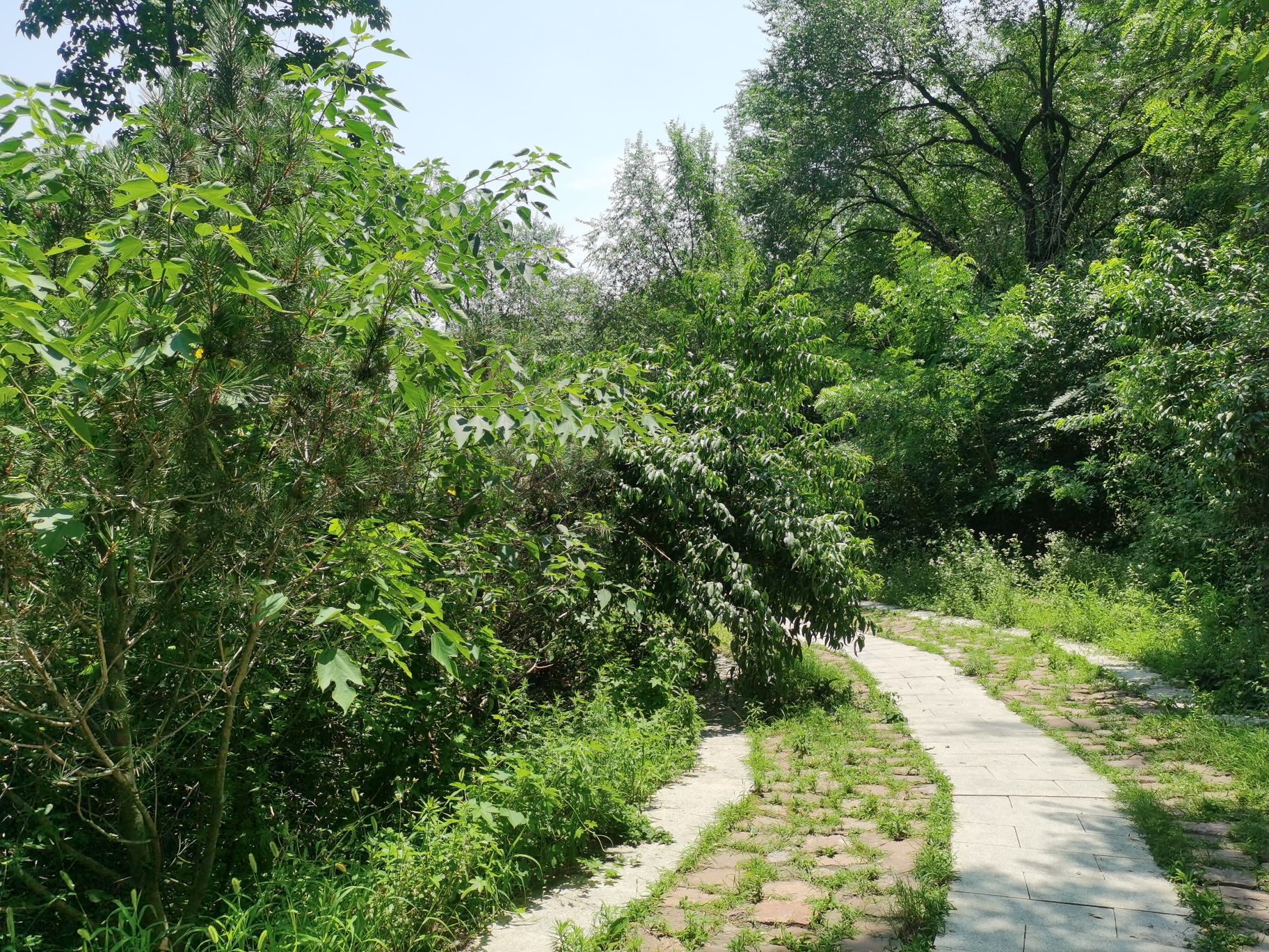 首山公园旅行图片 2