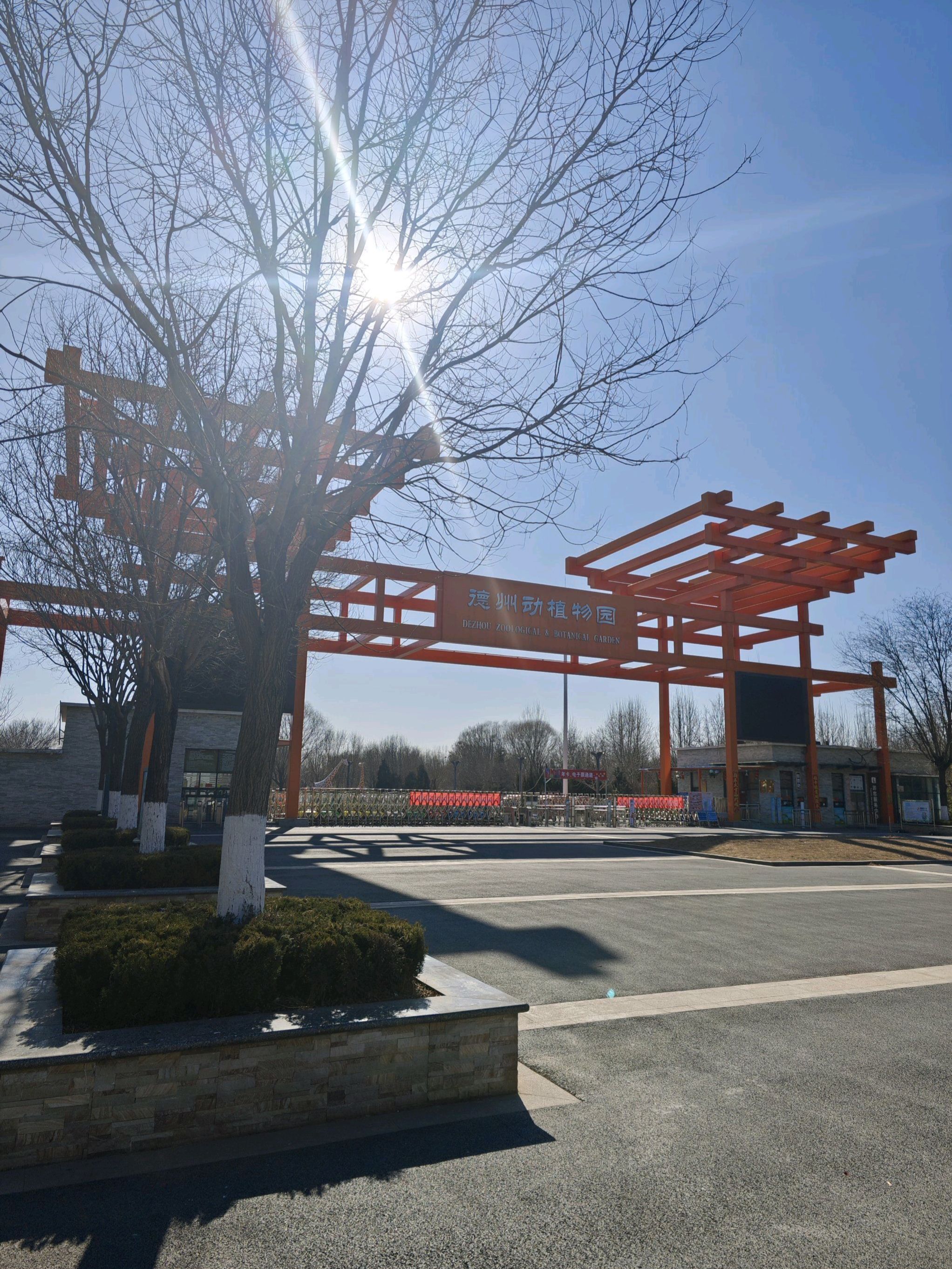 德州市动物园景点图片