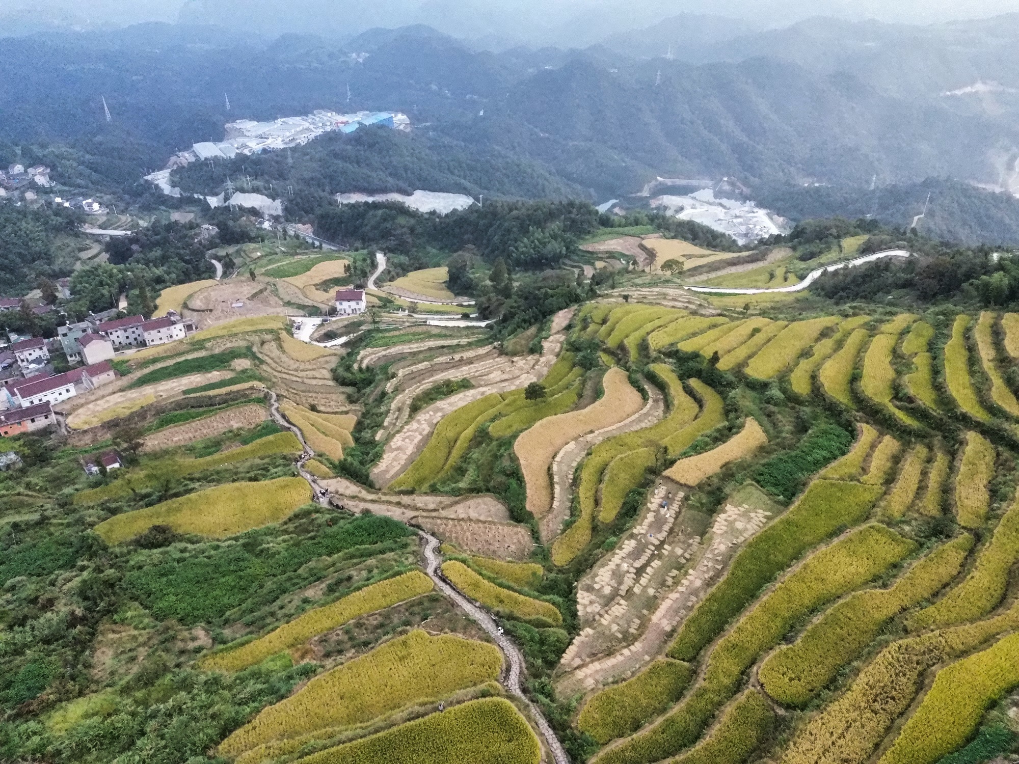 鎏金梯田旅行图片 1