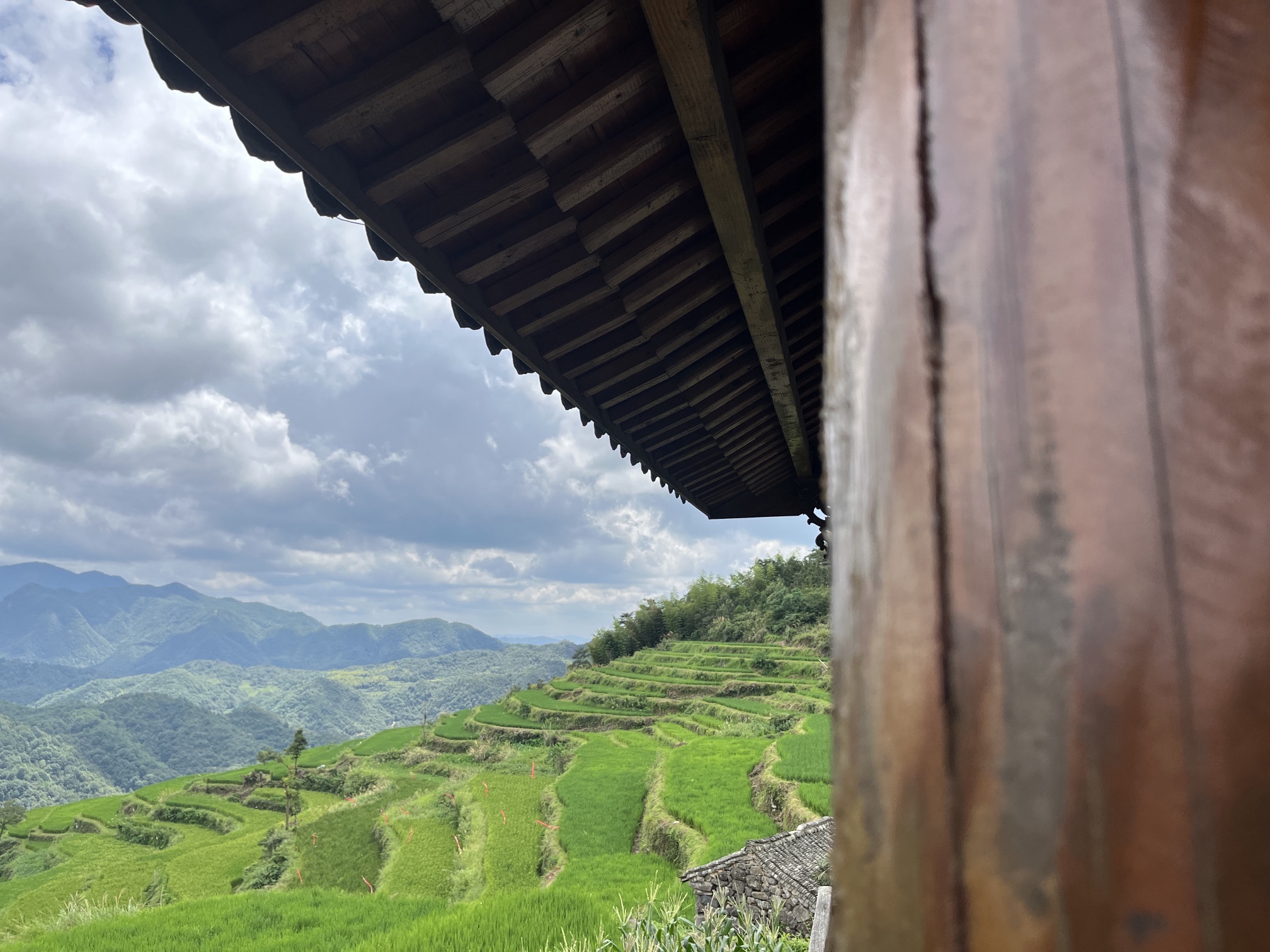鎏金梯田旅行图片 3