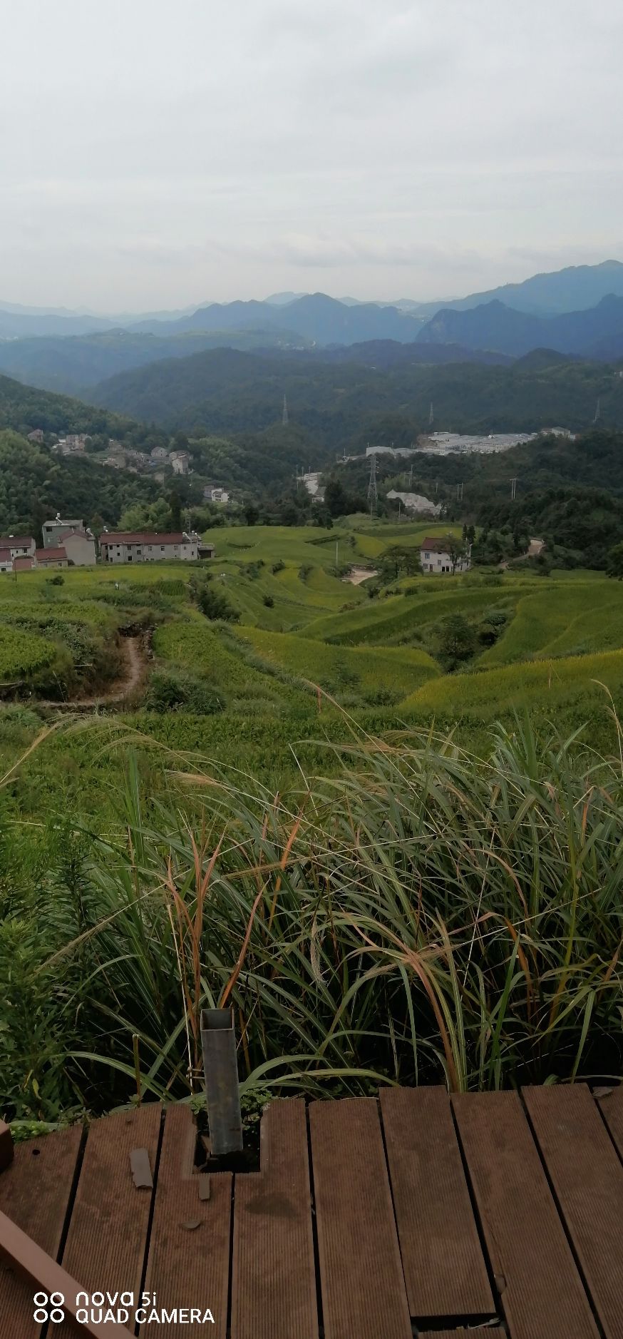 鎏金梯田旅行图片 1