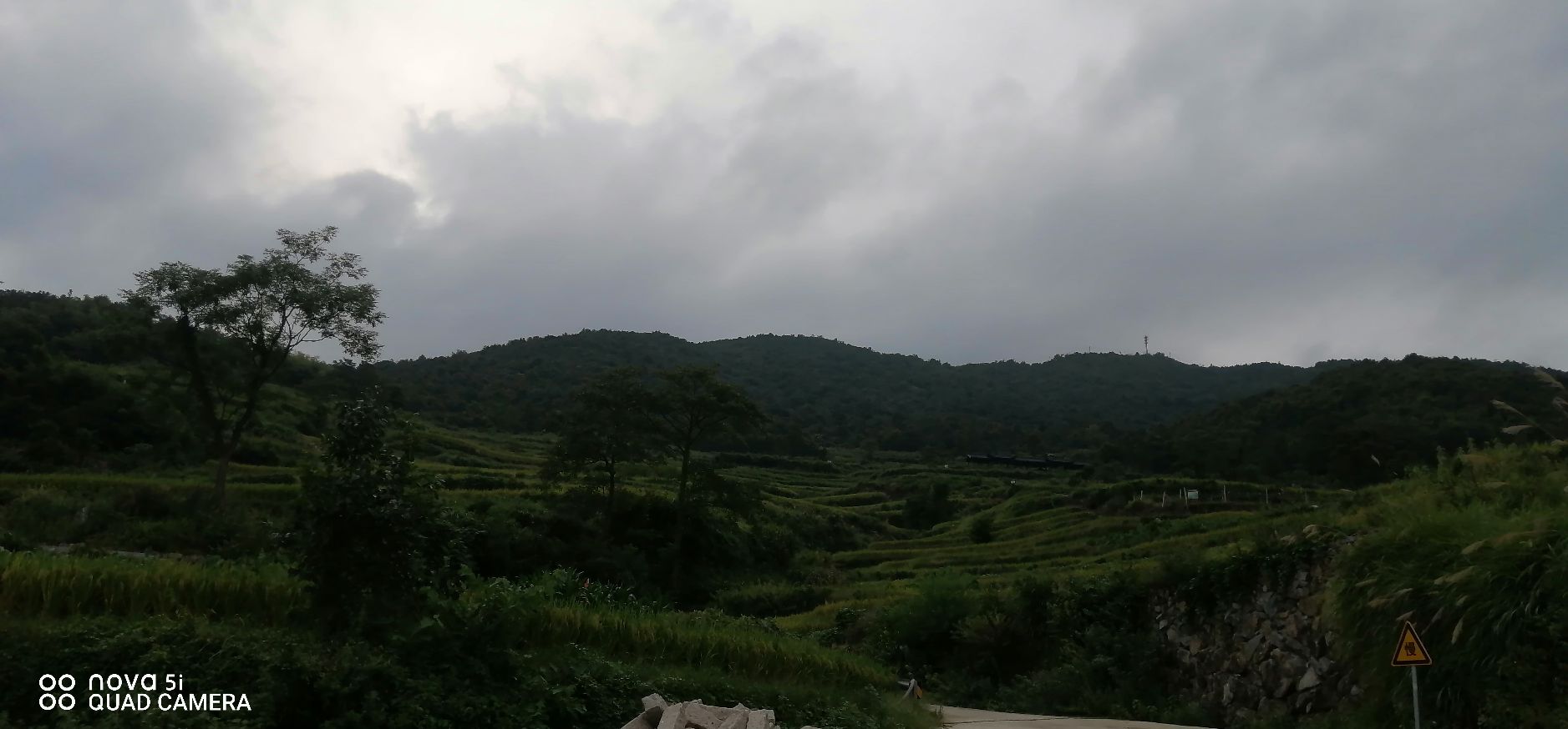 鎏金梯田旅行图片 3
