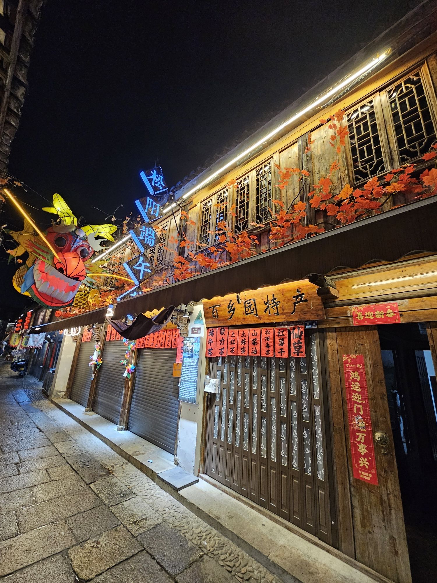 南直老街旅行图片 3
