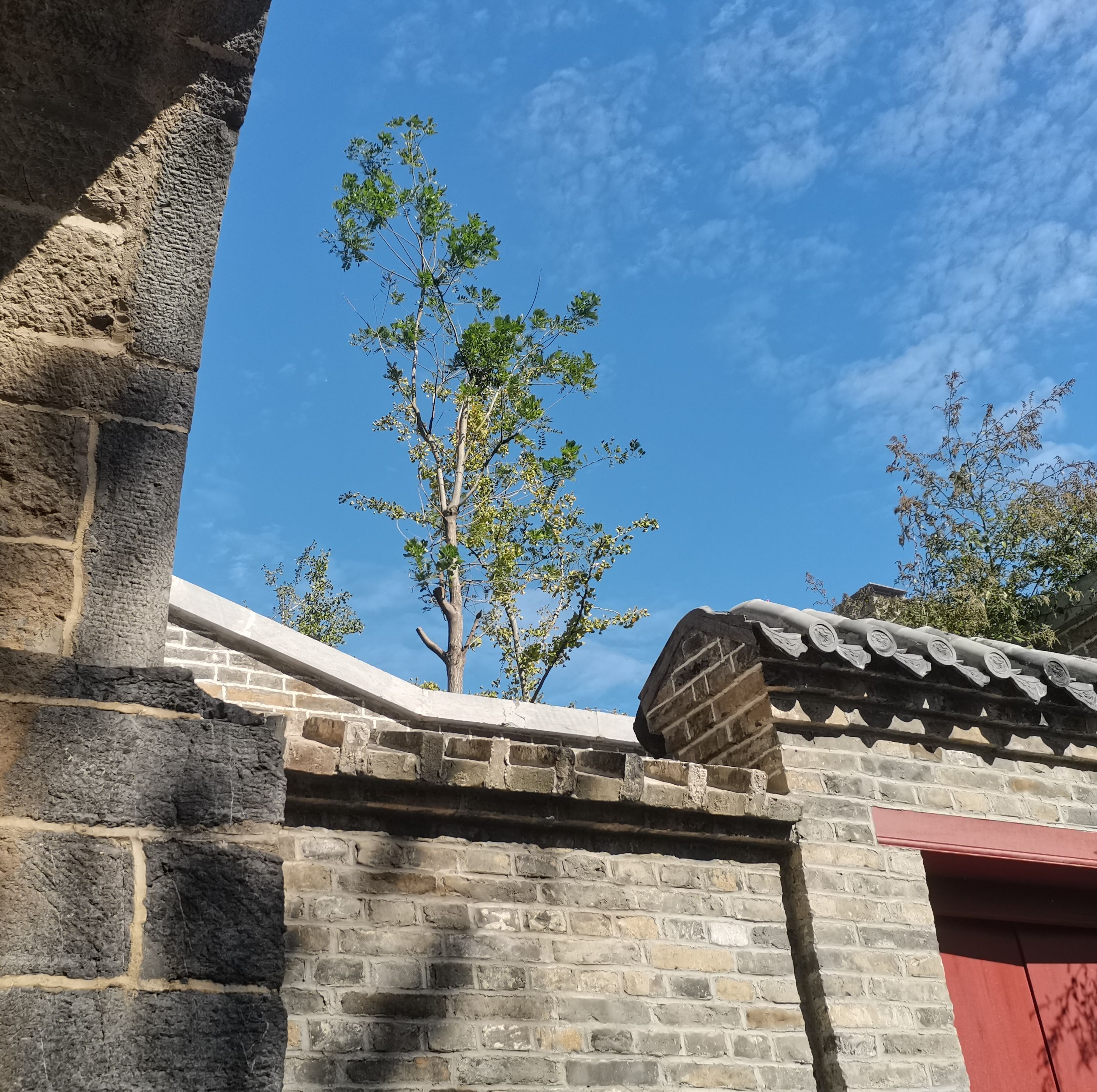 三义阁旅行图片 3