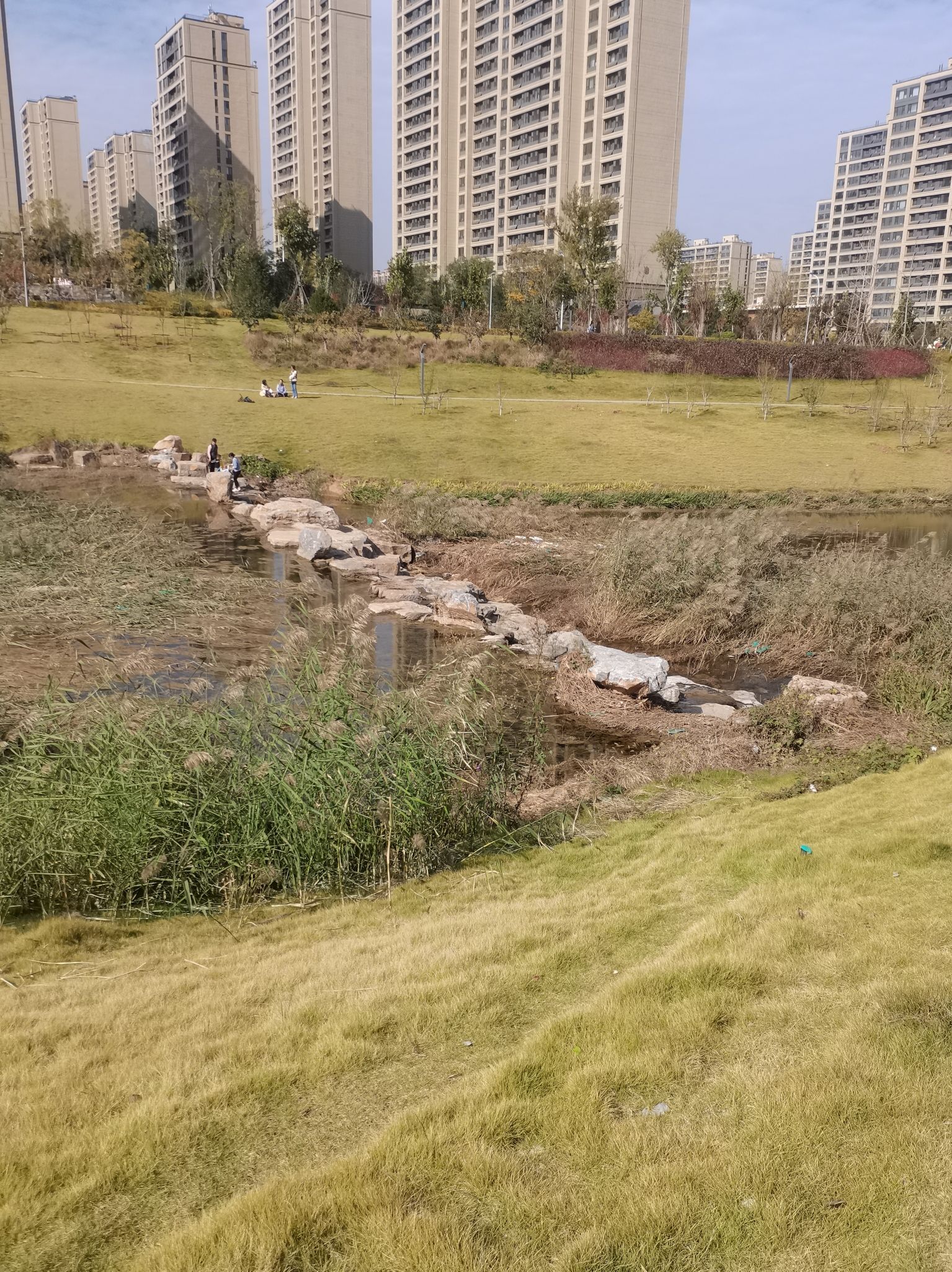 三义阁旅行图片 2