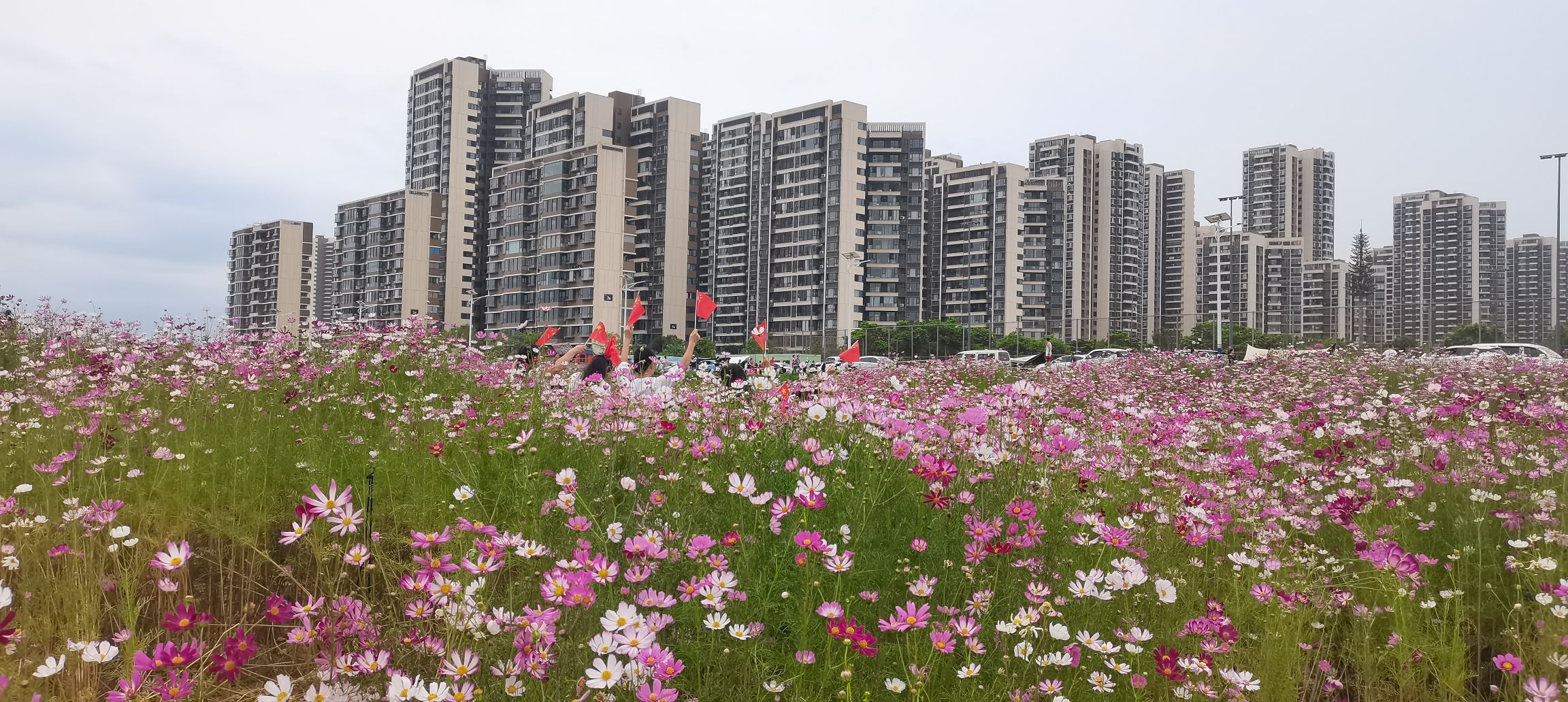 滨江西中央公园旅行图片 3