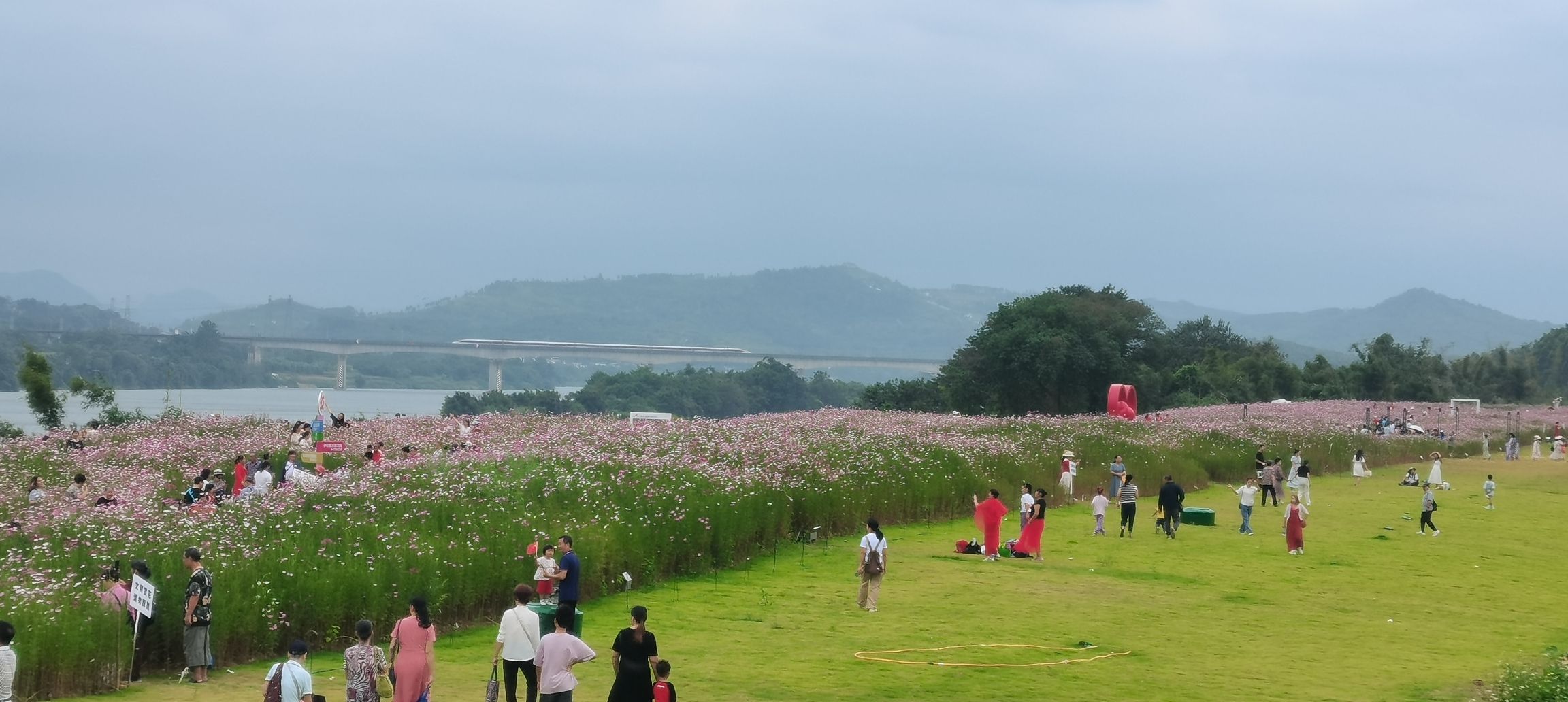 滨江西中央公园旅行图片 1