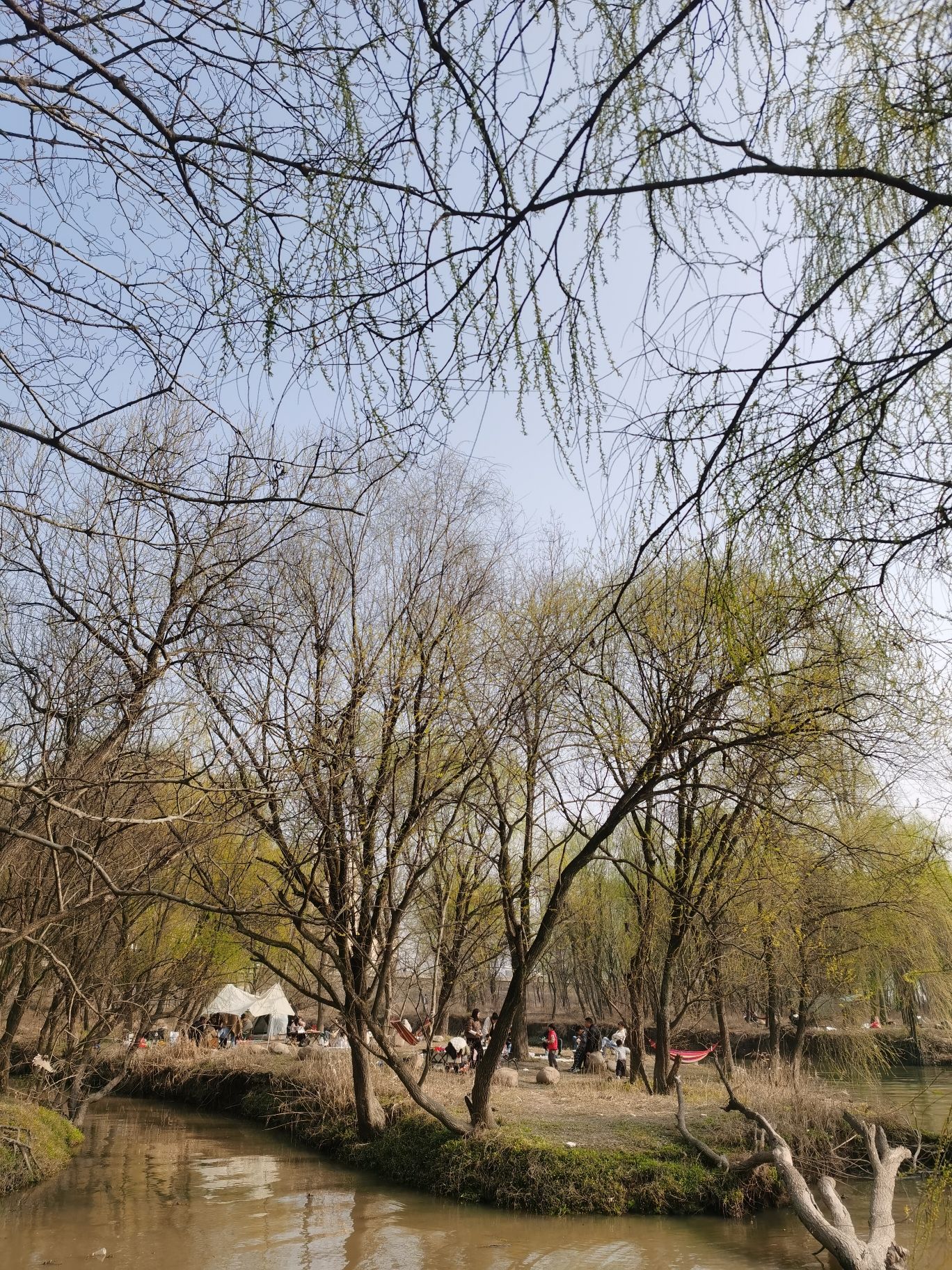 诗意林湿地公园旅行图片 3