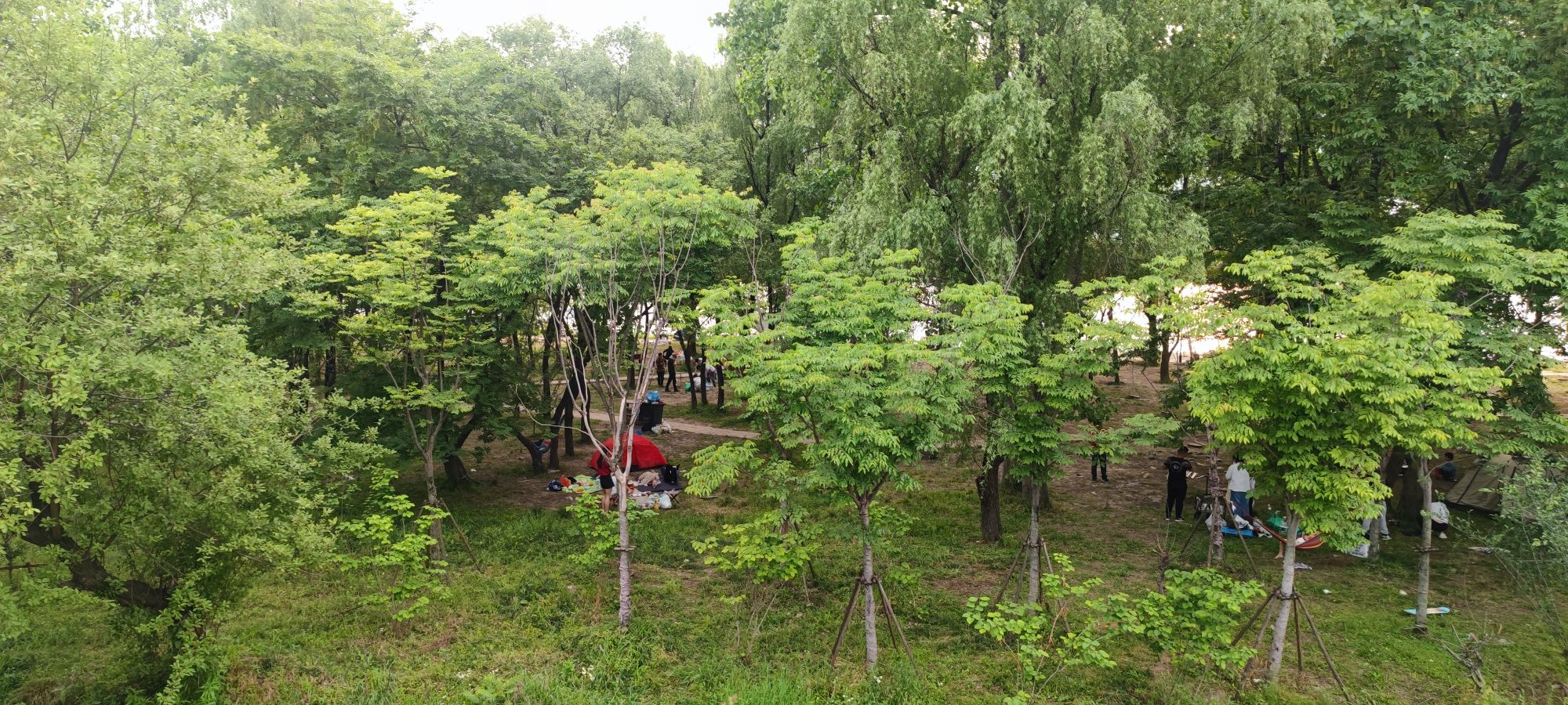 诗意林湿地公园旅行图片 2