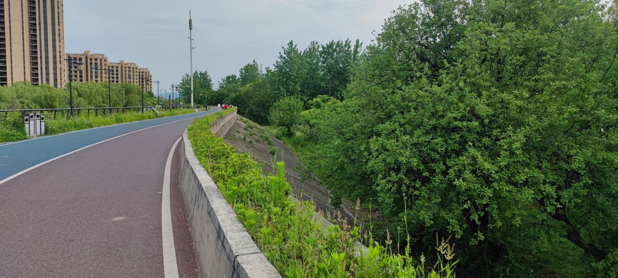 诗意林湿地公园旅行图片 1