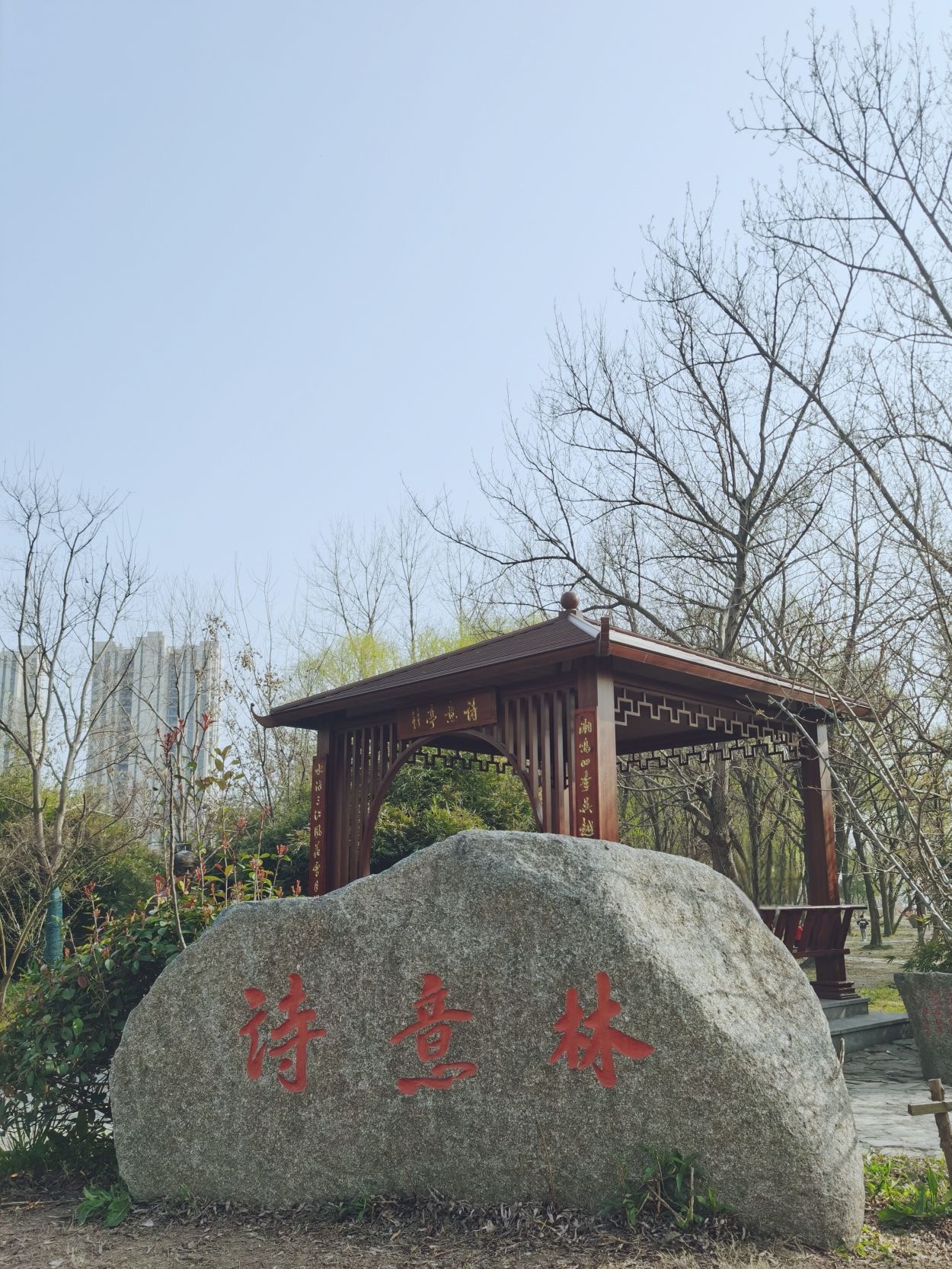 诗意林湿地公园旅行图片 1