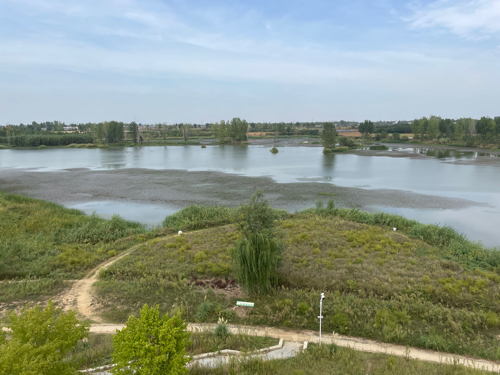 邓州·湍河国家湿地公园的第2张图片的图片资料