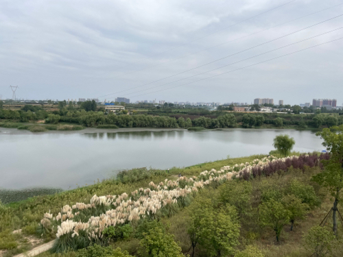 邓州·湍河国家湿地公园的第3张图片的图片资料