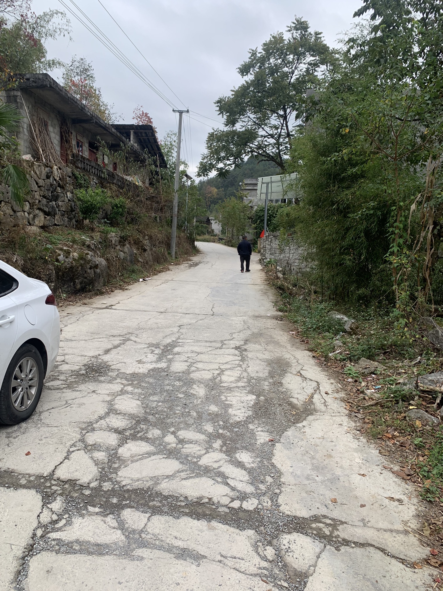 金丝楠木苗寨景区旅行图片 3