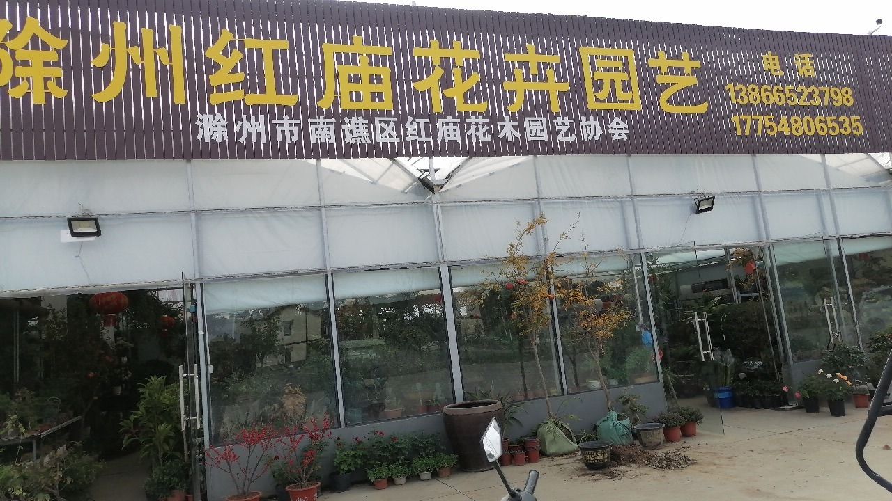 滁州红庙花卉园艺