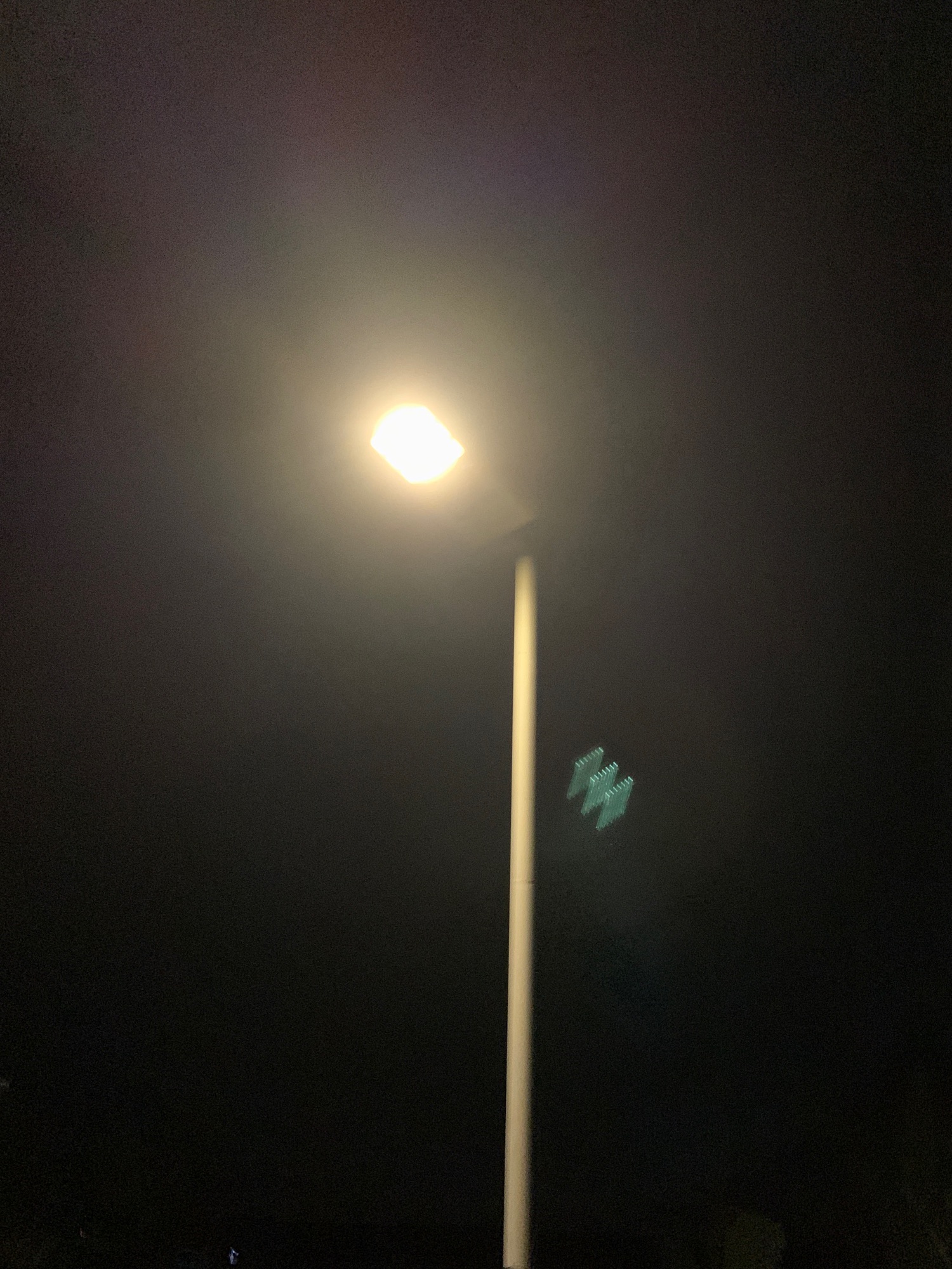 滨江儿童公园旅行图片 3
