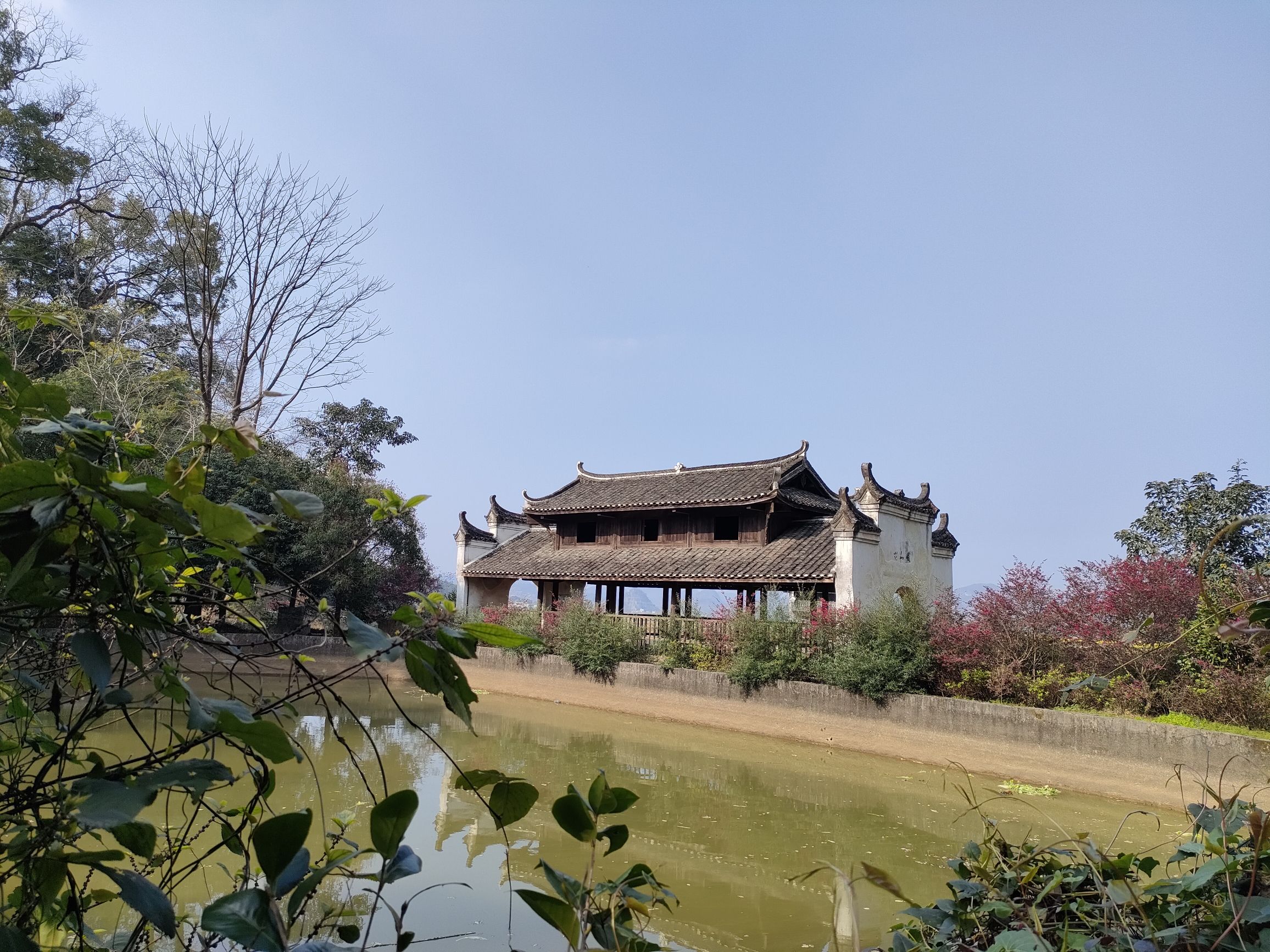 富川白面寨金丝楠木林旅行图片 1