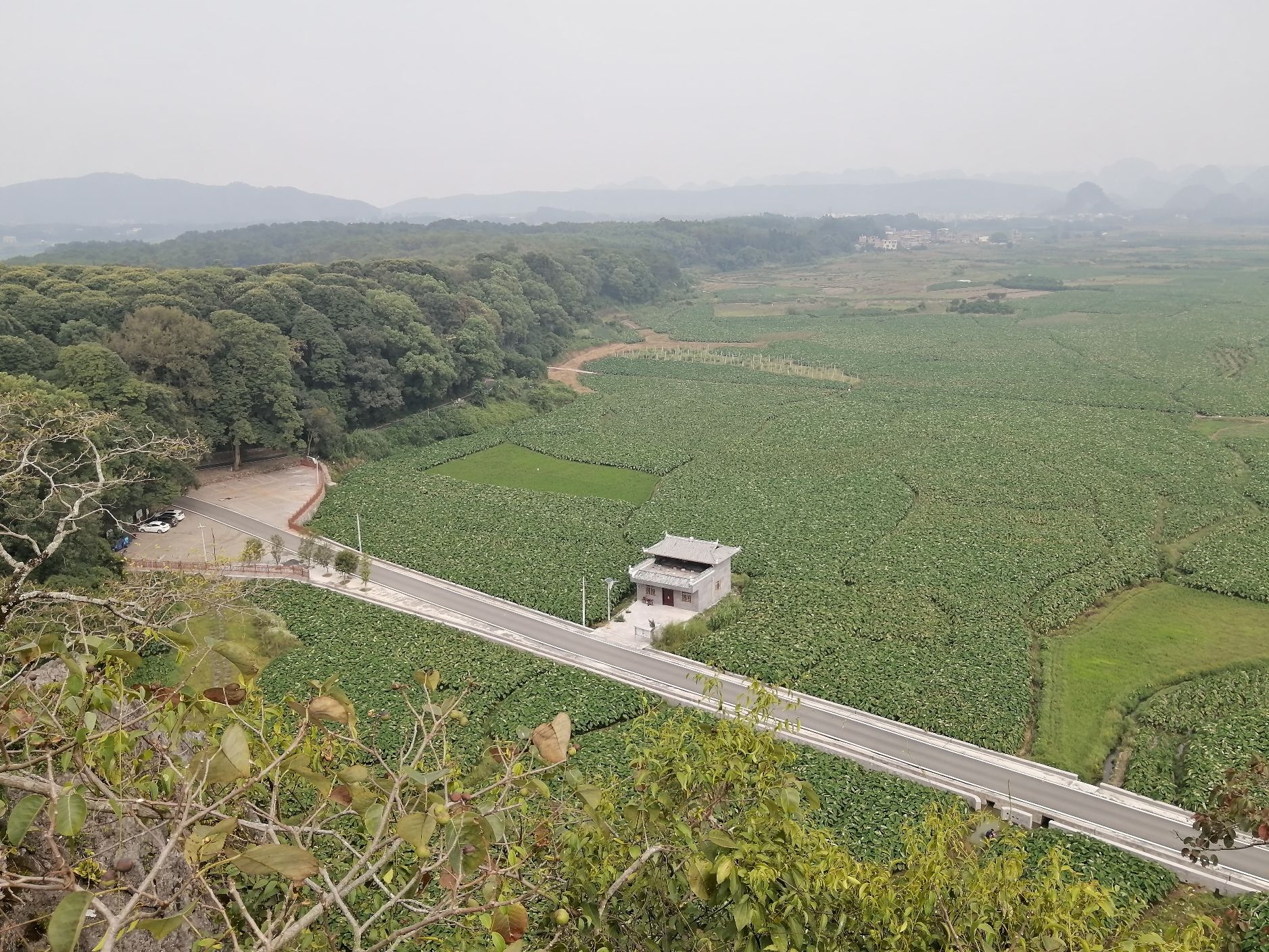 富川白面寨金丝楠木林旅行图片 3