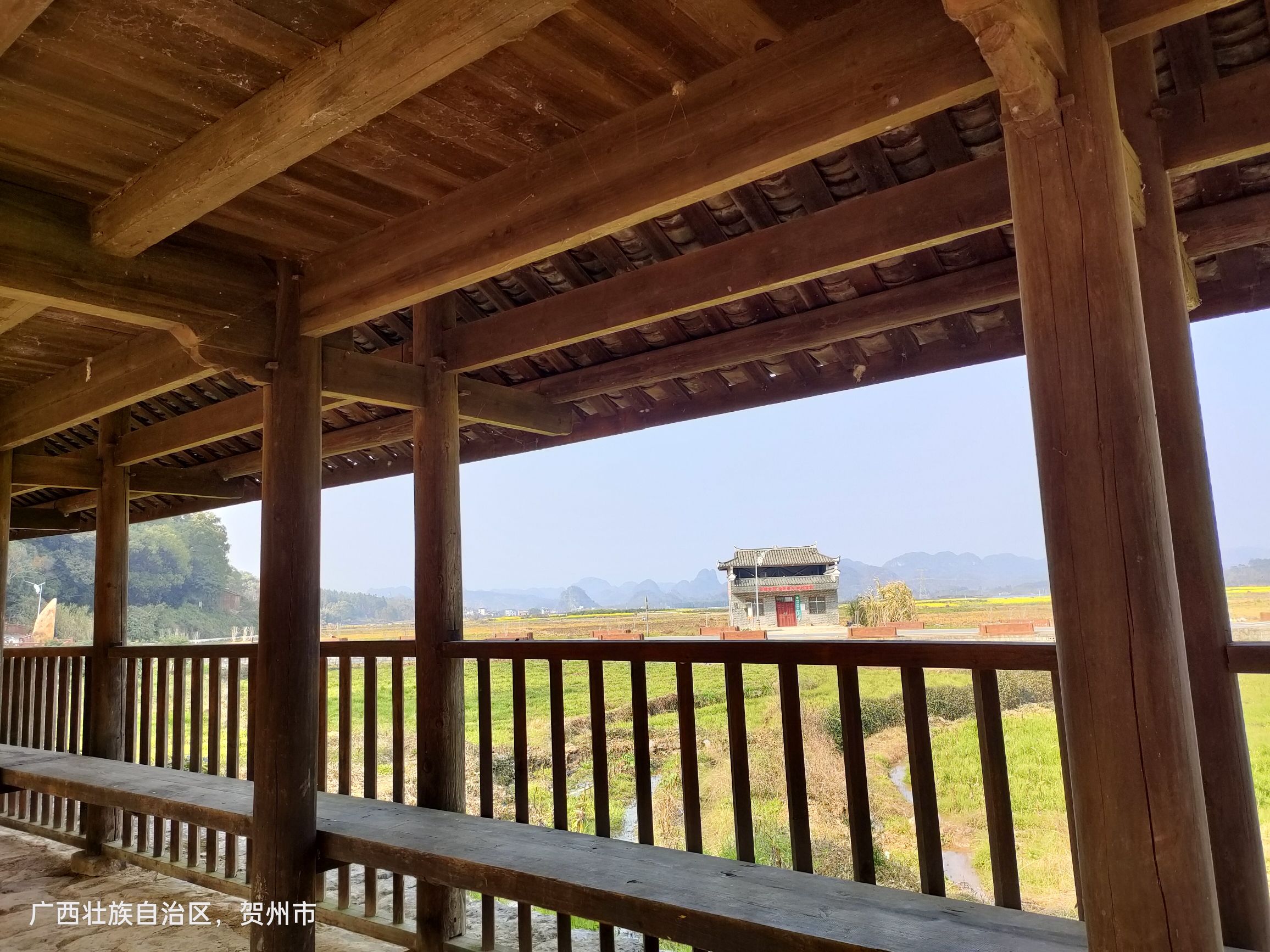 富川白面寨金丝楠木林旅行图片 2