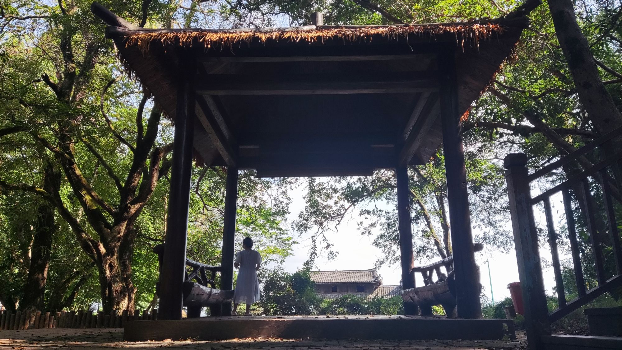 富川白面寨金丝楠木林旅行图片 1