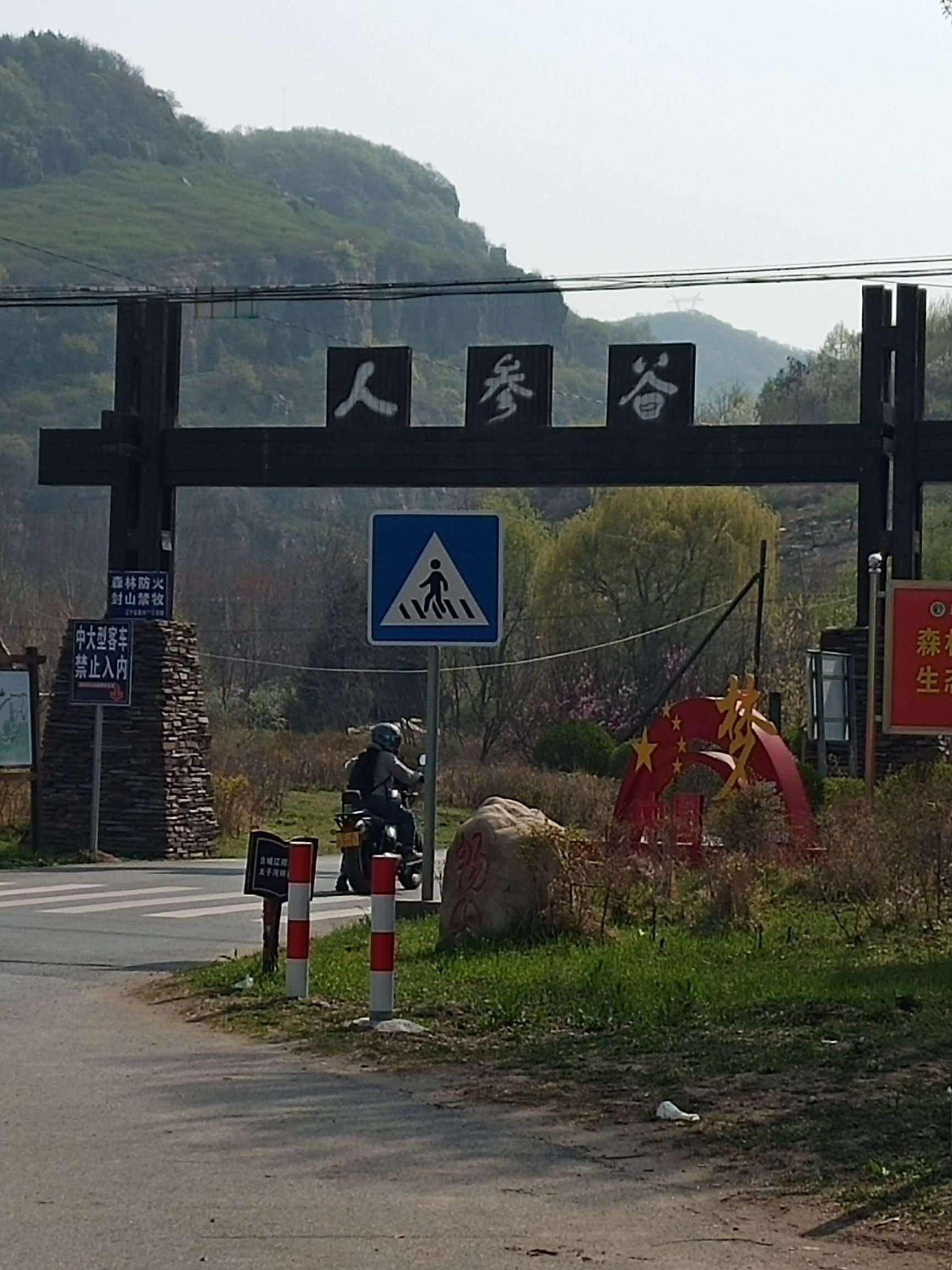 人参谷森林公园旅行图片 1