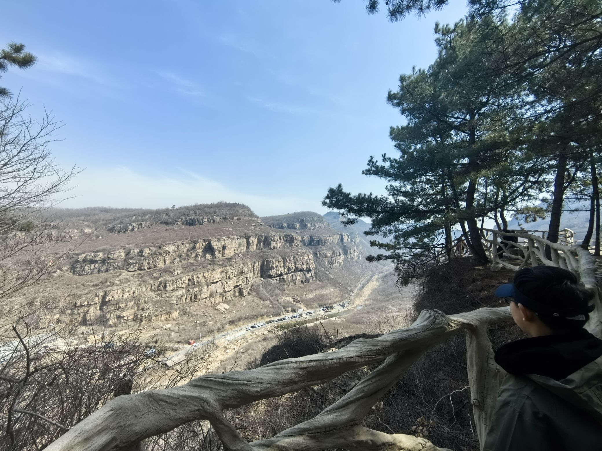 人参谷森林公园旅行图片 3
