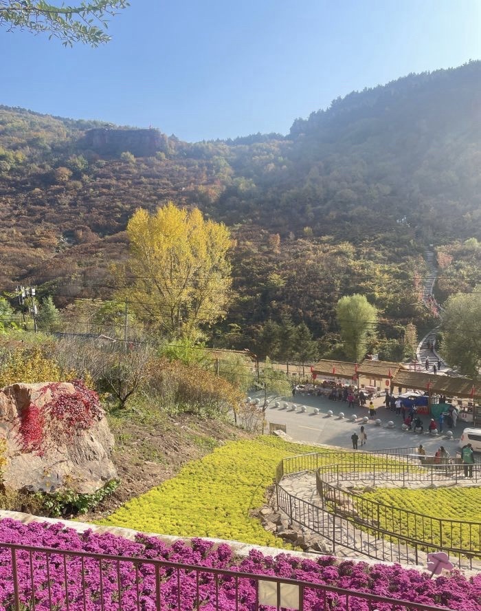 人参谷森林公园旅行图片 2
