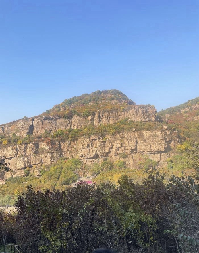 人参谷森林公园旅行图片 1