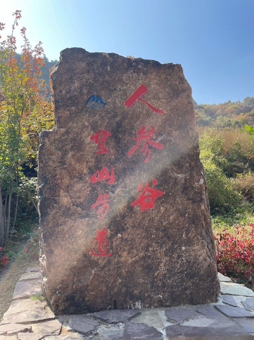 人参谷森林公园