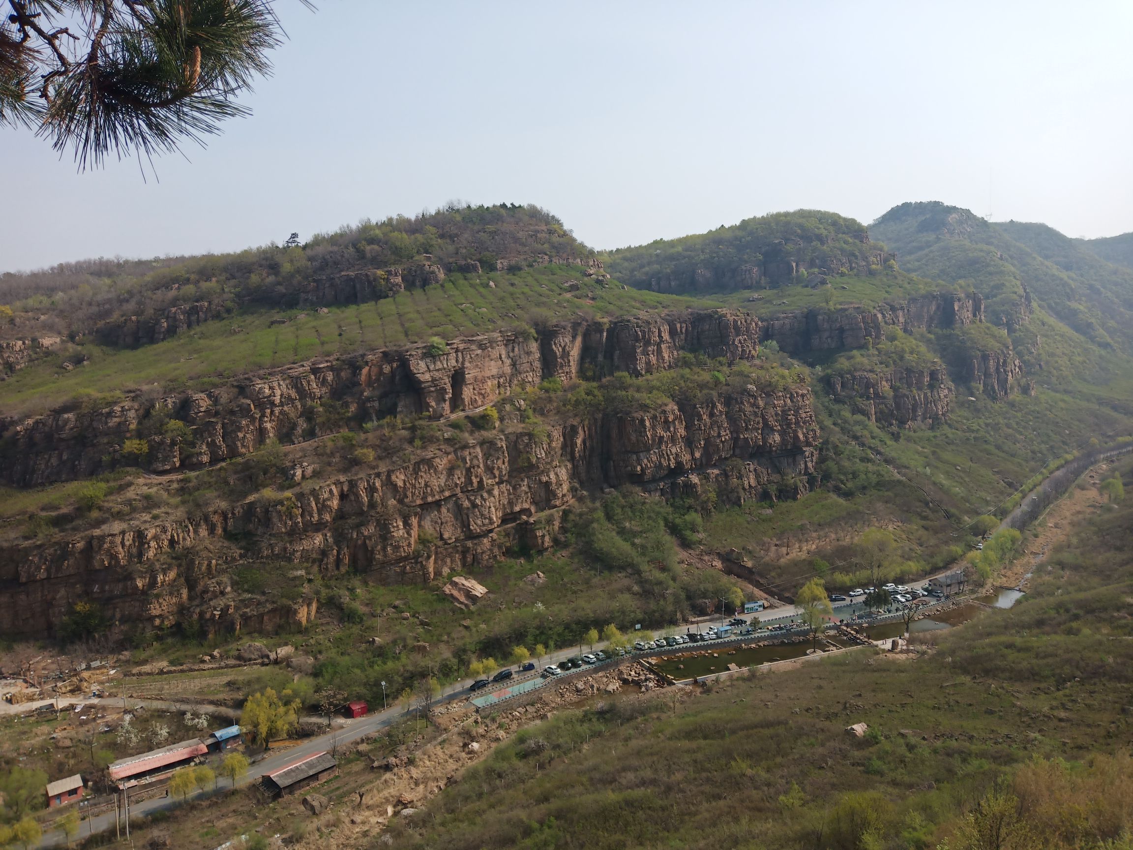 人参谷森林公园旅行图片 2