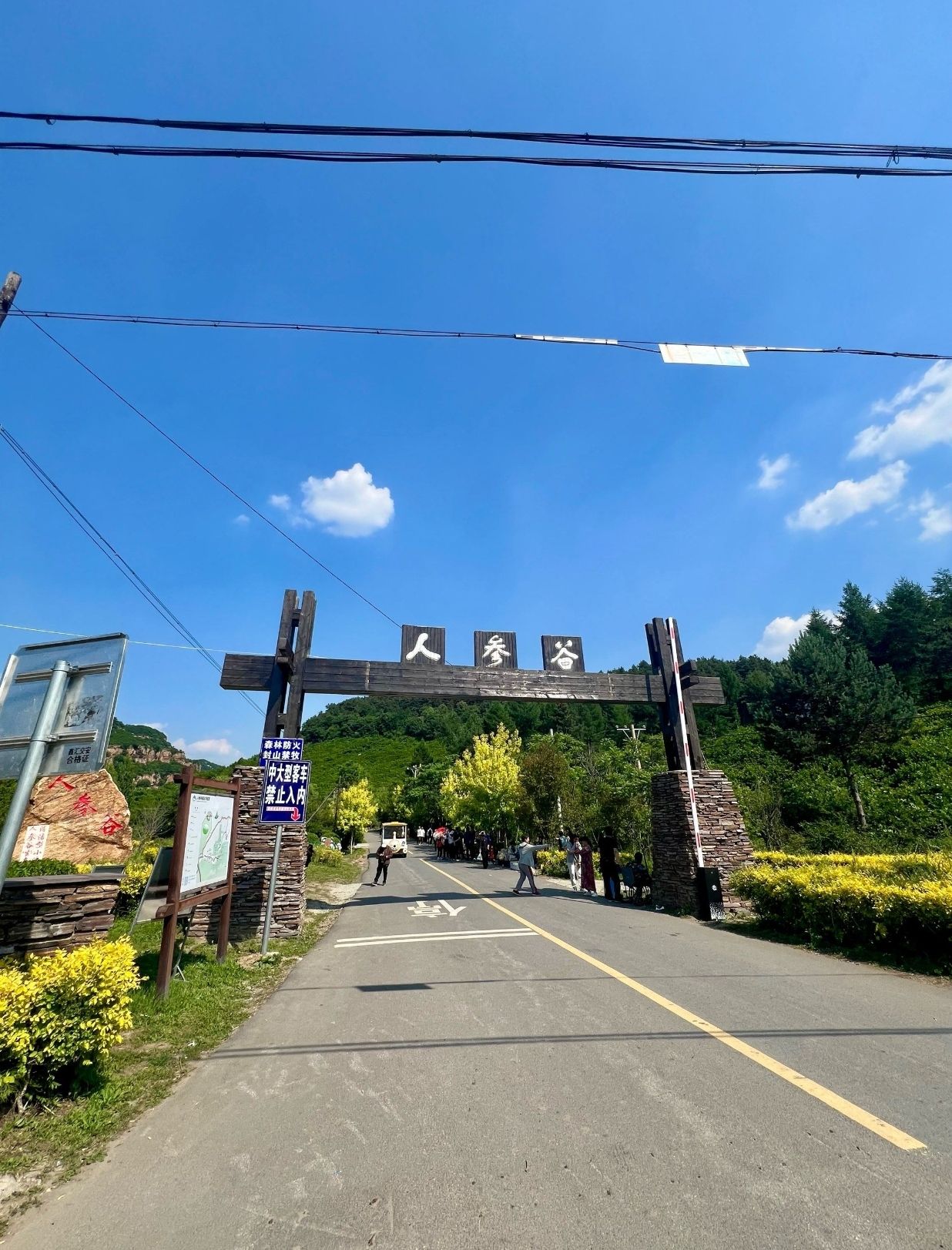 人参谷森林公园