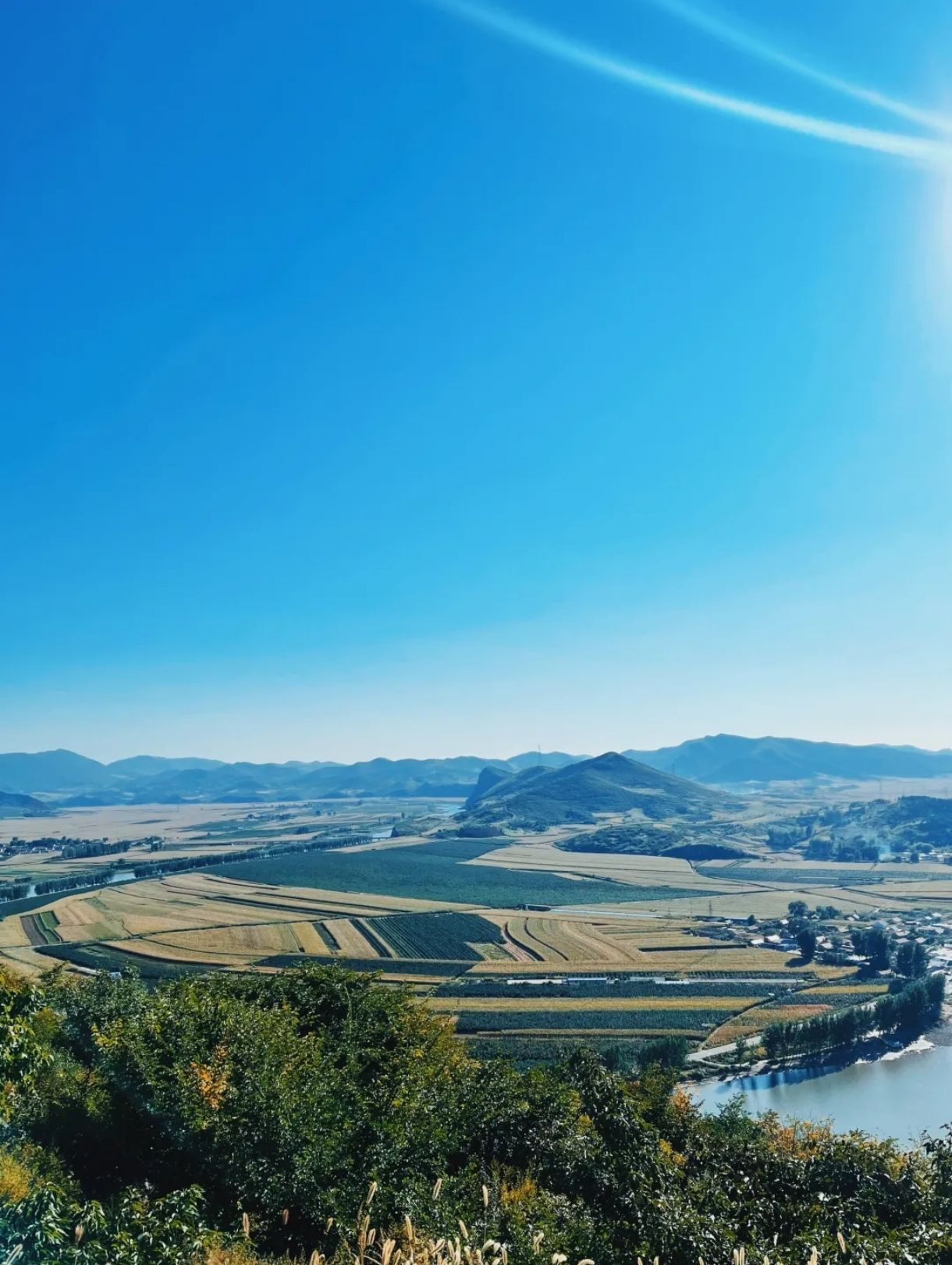 人参谷森林公园旅行图片 2