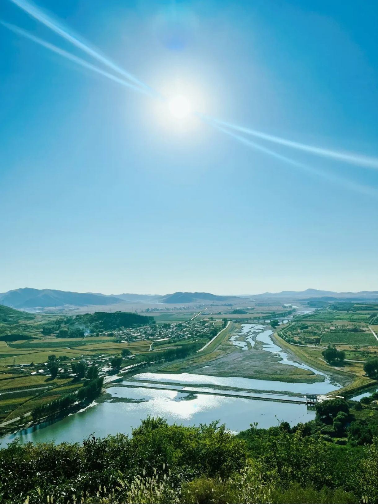 人参谷森林公园旅行图片 3