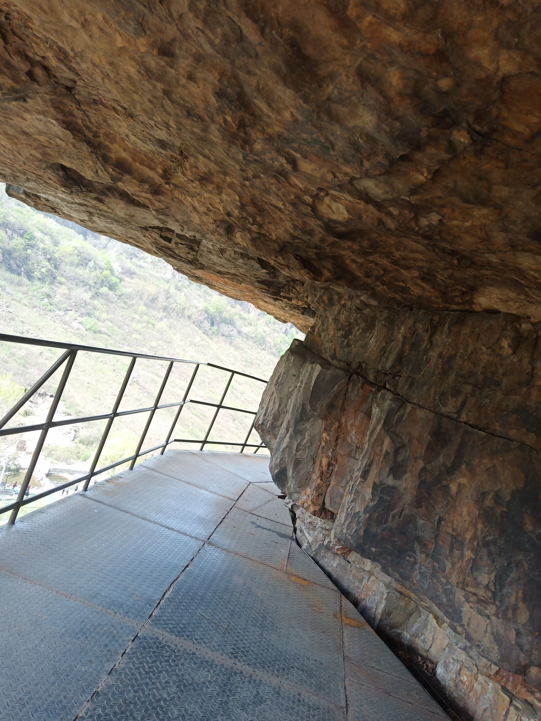 人参谷森林公园旅行图片 3